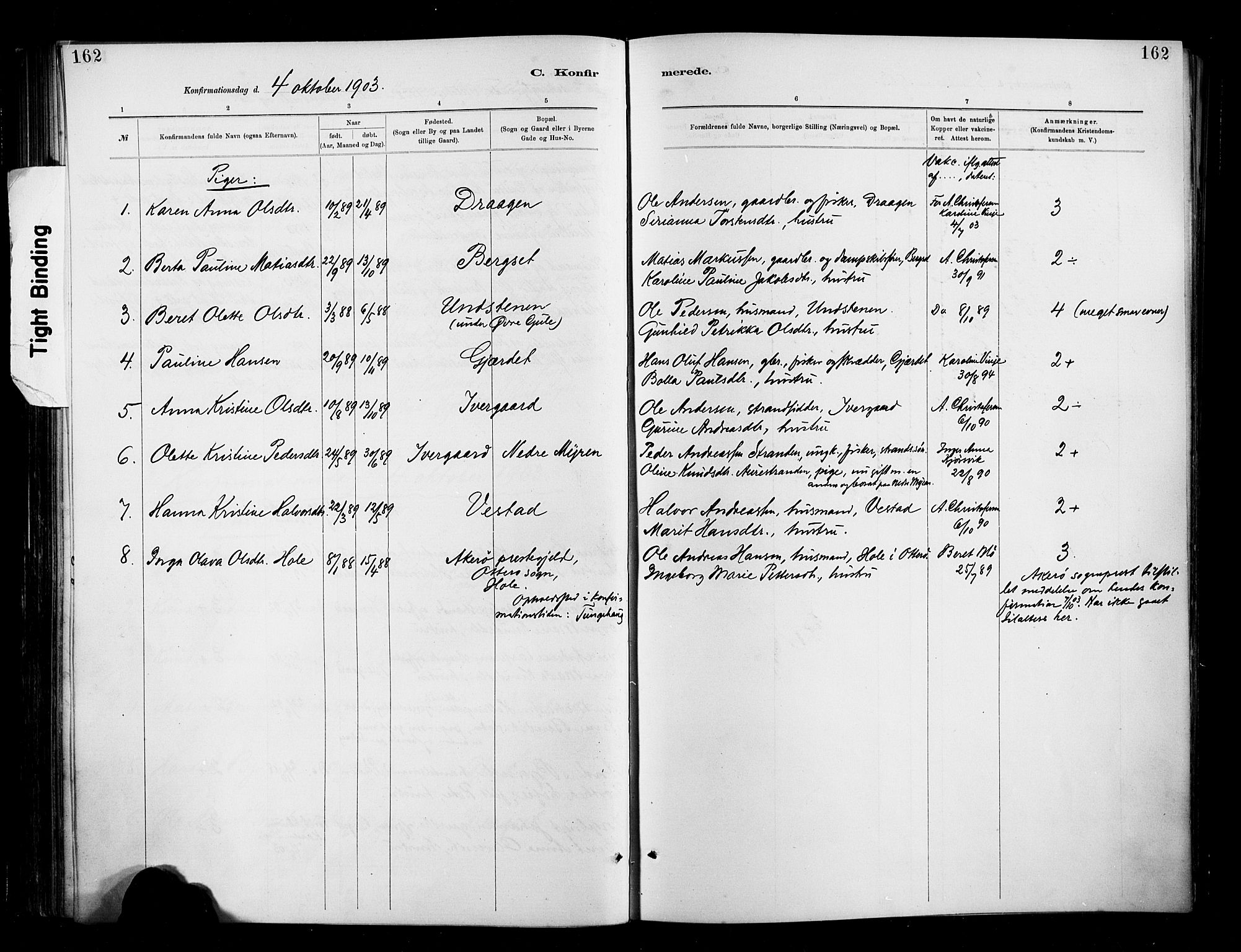 Ministerialprotokoller, klokkerbøker og fødselsregistre - Møre og Romsdal, AV/SAT-A-1454/566/L0769: Parish register (official) no. 566A08, 1881-1903, p. 162