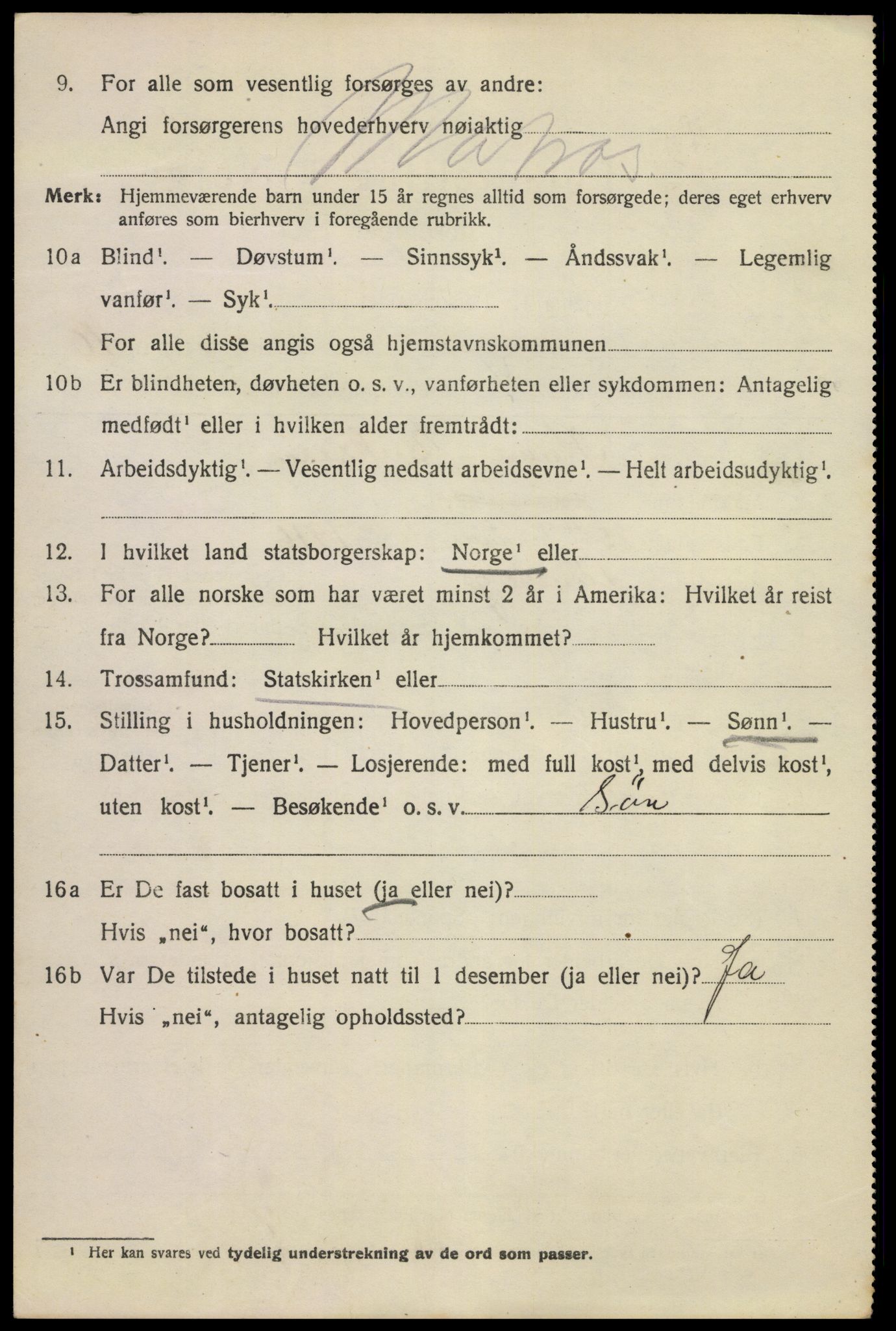 SAKO, 1920 census for Kragerø, 1920, p. 13874