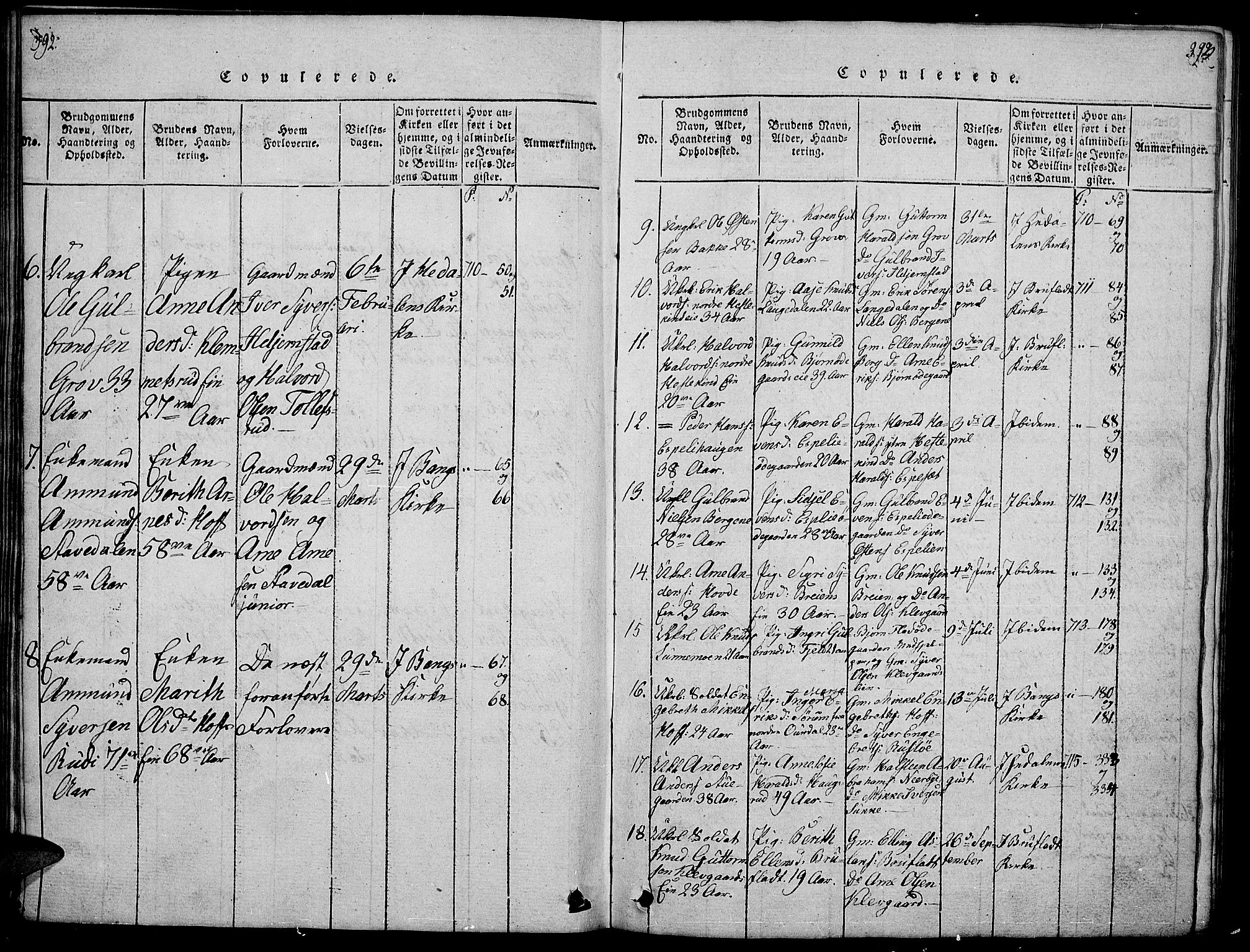 Sør-Aurdal prestekontor, SAH/PREST-128/H/Ha/Hab/L0001: Parish register (copy) no. 1, 1815-1826, p. 392-393