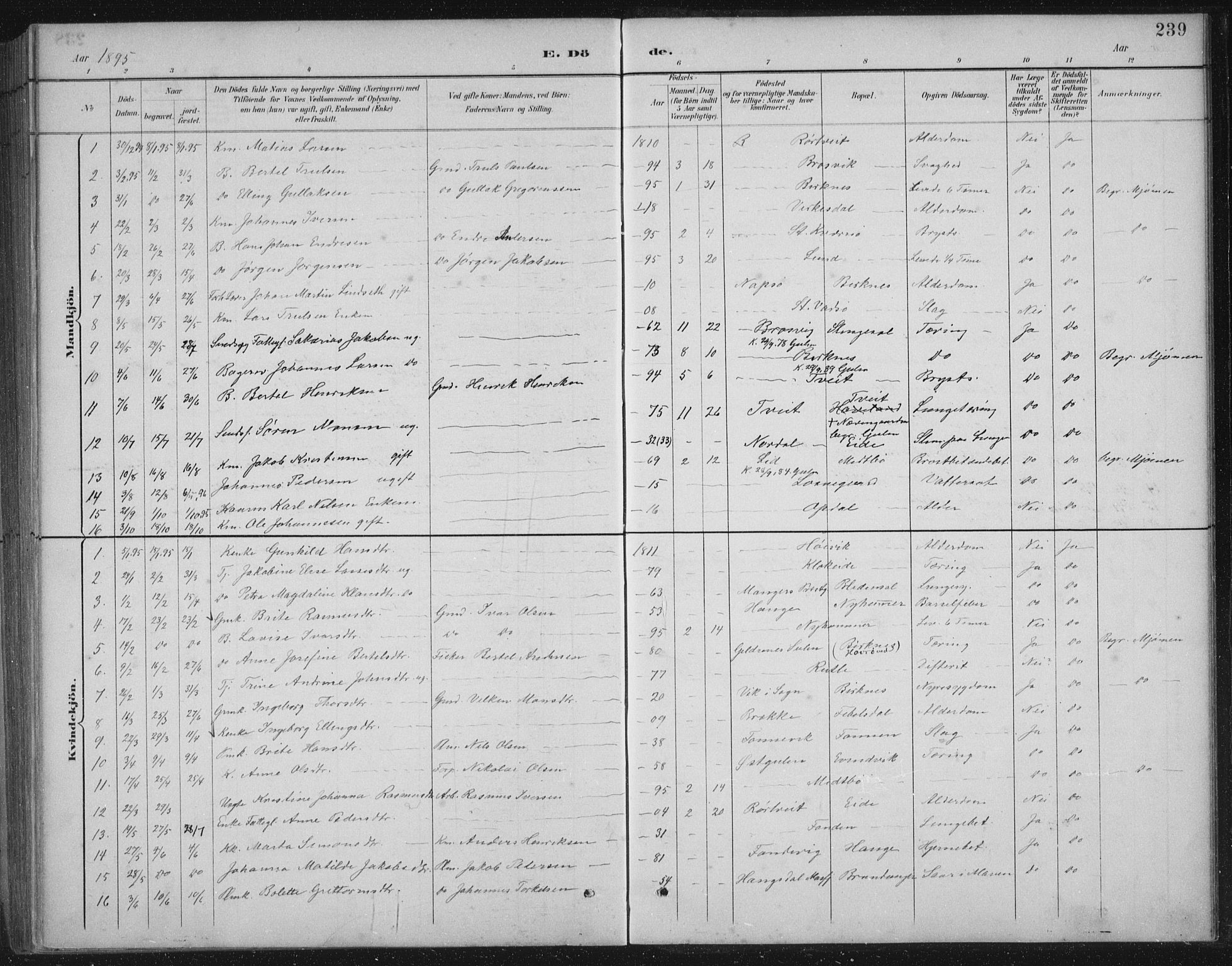 Gulen sokneprestembete, AV/SAB-A-80201/H/Hab/Habb/L0003: Parish register (copy) no. B 3, 1884-1907, p. 239