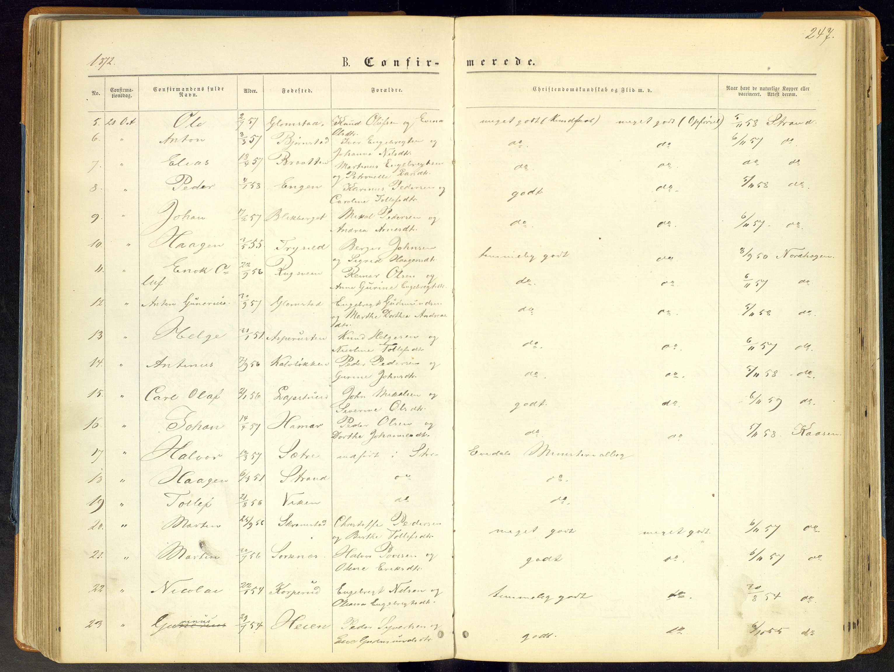 Åmot prestekontor, Hedmark, AV/SAH-PREST-056/H/Ha/Haa/L0008: Parish register (official) no. 8, 1862-1875, p. 247