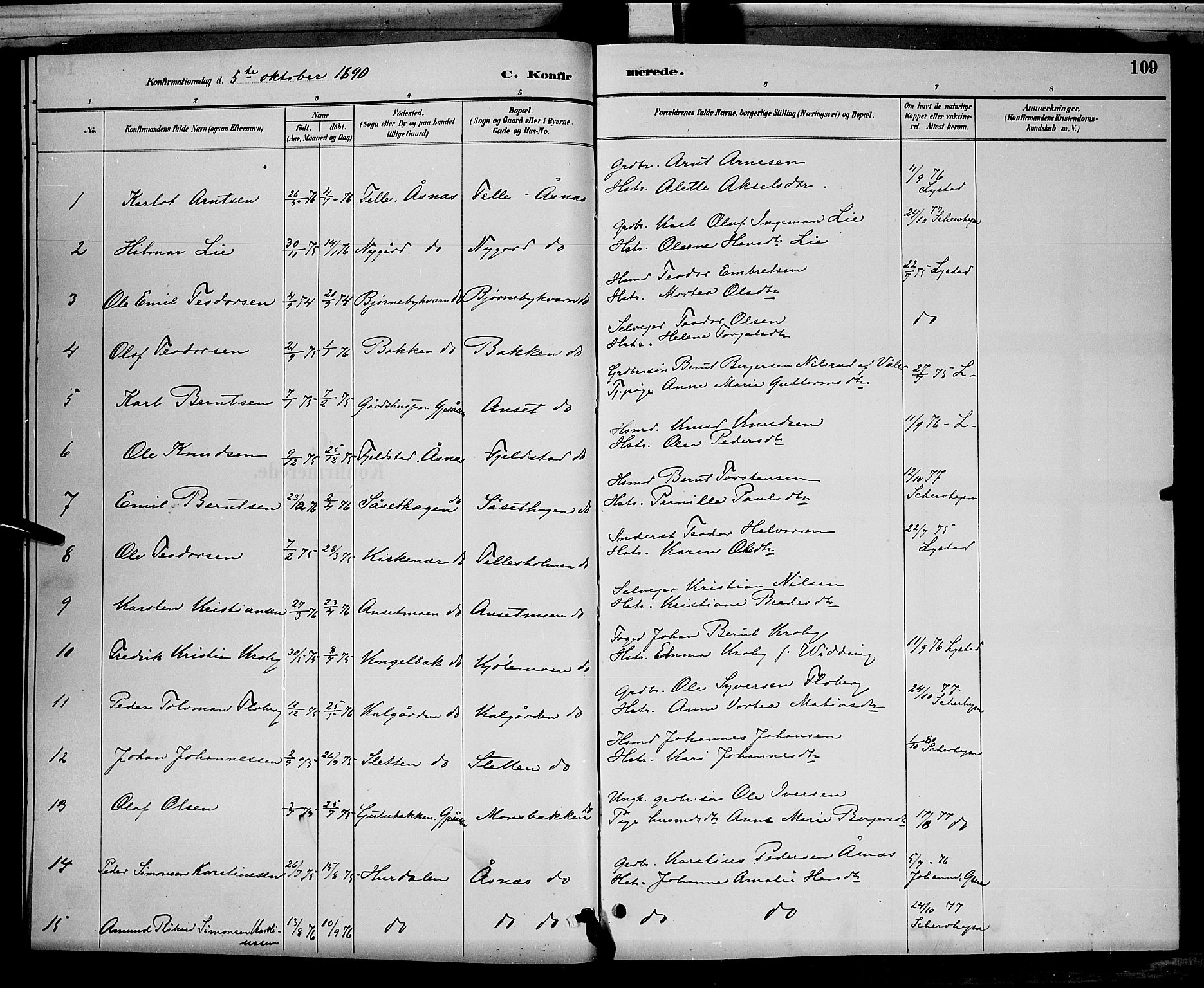 Åsnes prestekontor, SAH/PREST-042/H/Ha/Hab/L0001: Parish register (copy) no. 1, 1890-1891, p. 109