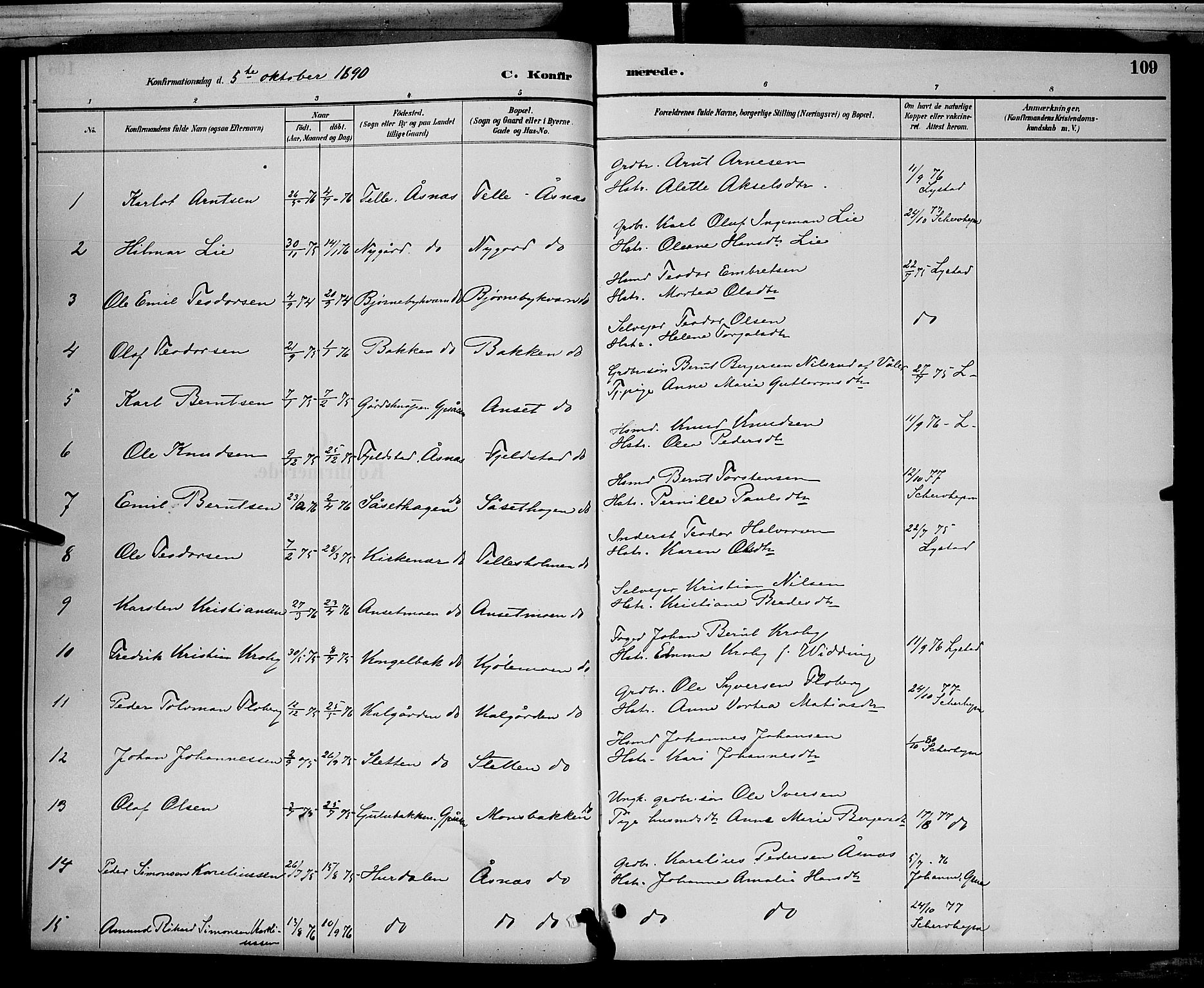 Åsnes prestekontor, AV/SAH-PREST-042/H/Ha/Hab/L0001: Parish register (copy) no. 1, 1890-1891, p. 109