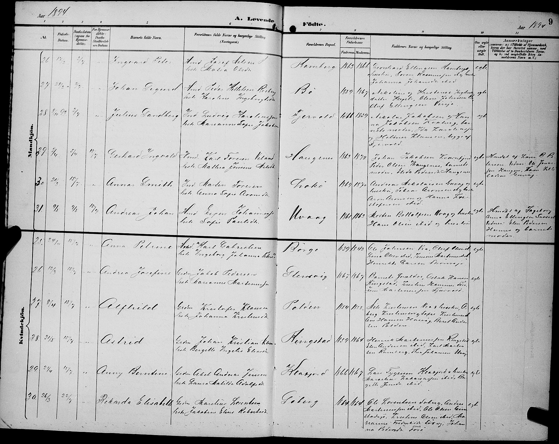 Ministerialprotokoller, klokkerbøker og fødselsregistre - Nordland, AV/SAT-A-1459/891/L1316: Parish register (copy) no. 891C05, 1894-1898, p. 9