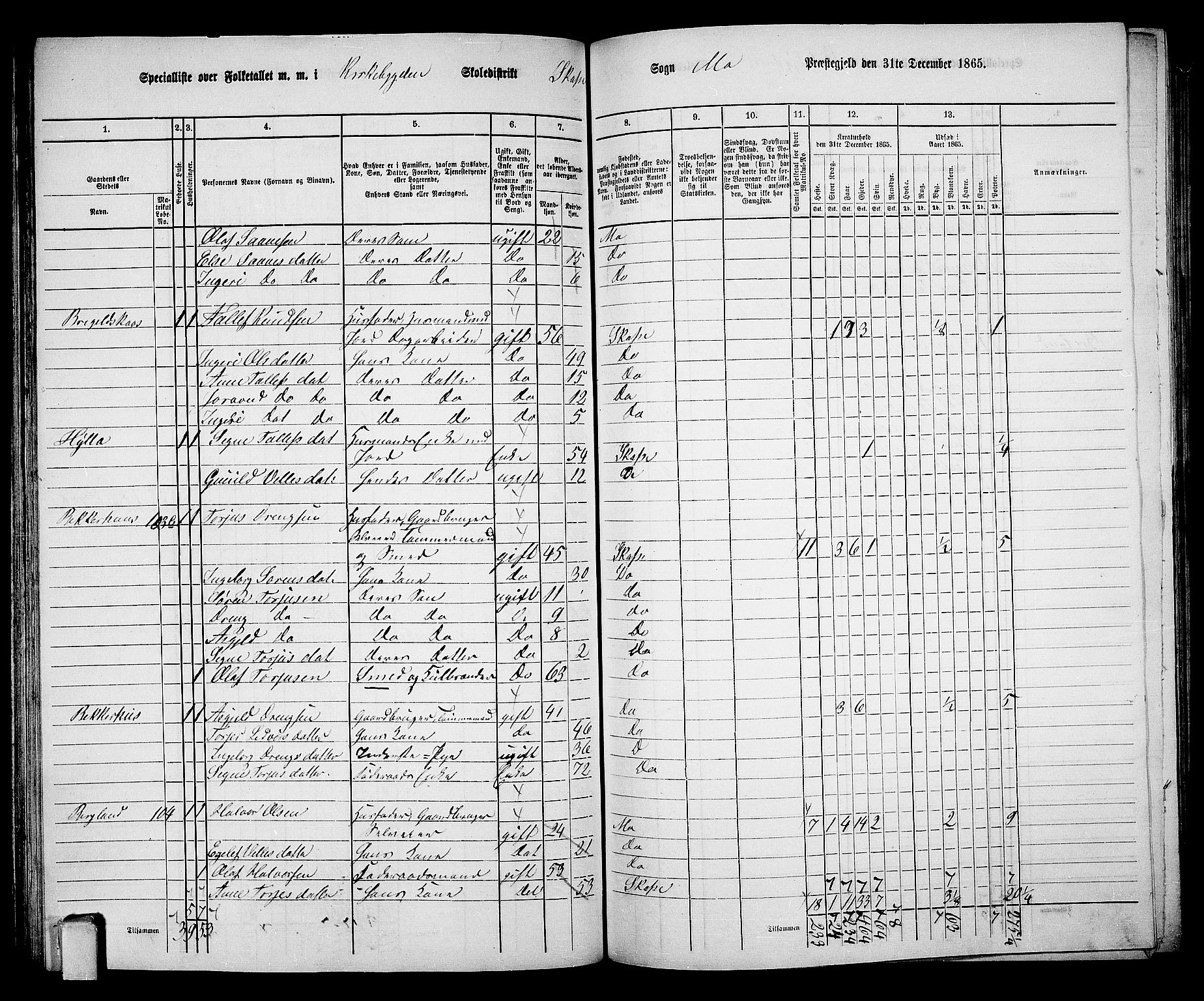 RA, 1865 census for Mo, 1865, p. 75