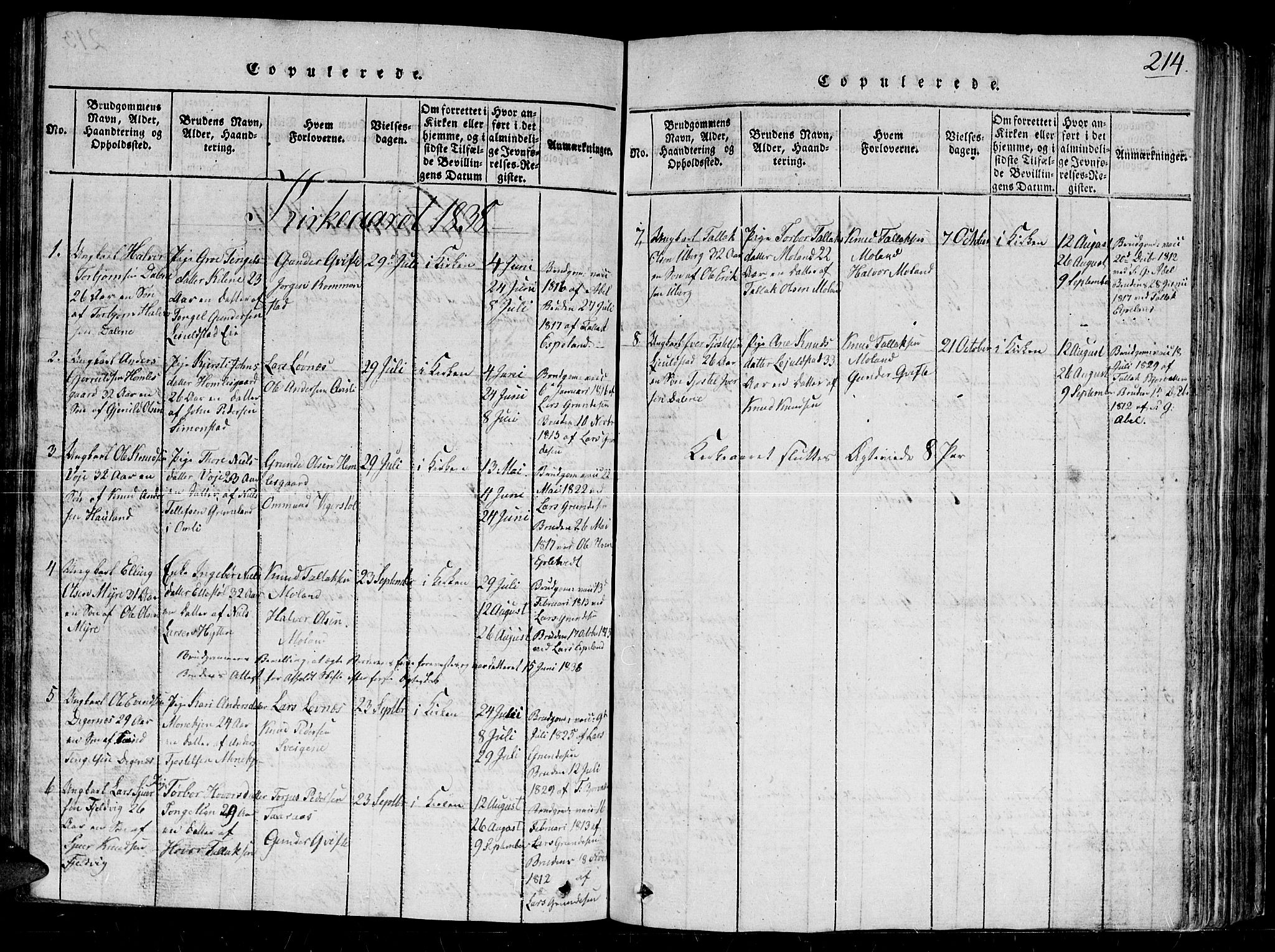 Gjerstad sokneprestkontor, SAK/1111-0014/F/Fb/Fbb/L0001: Parish register (copy) no. B 1, 1813-1863, p. 214