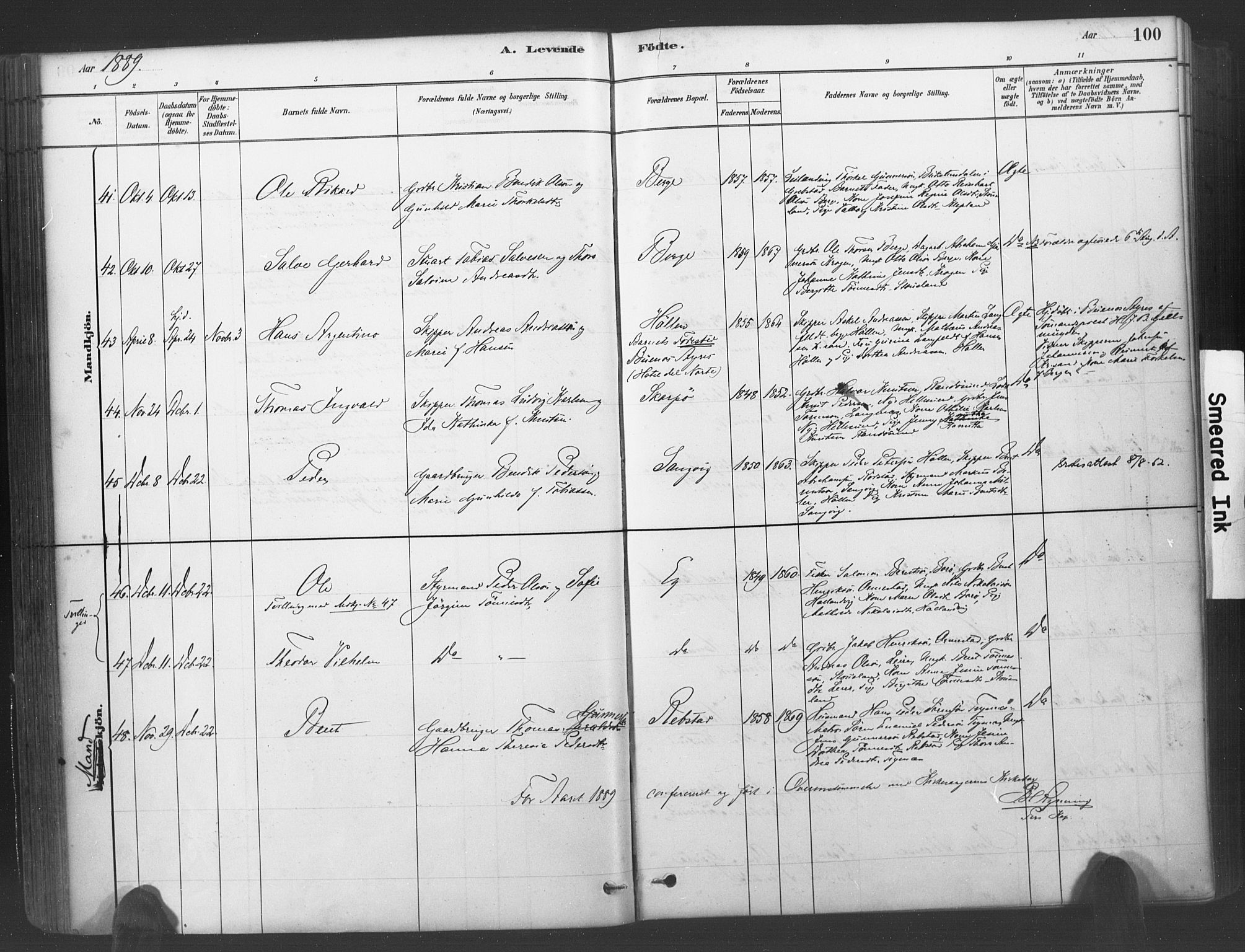 Søgne sokneprestkontor, SAK/1111-0037/F/Fa/Fab/L0012: Parish register (official) no. A 12, 1880-1891, p. 100