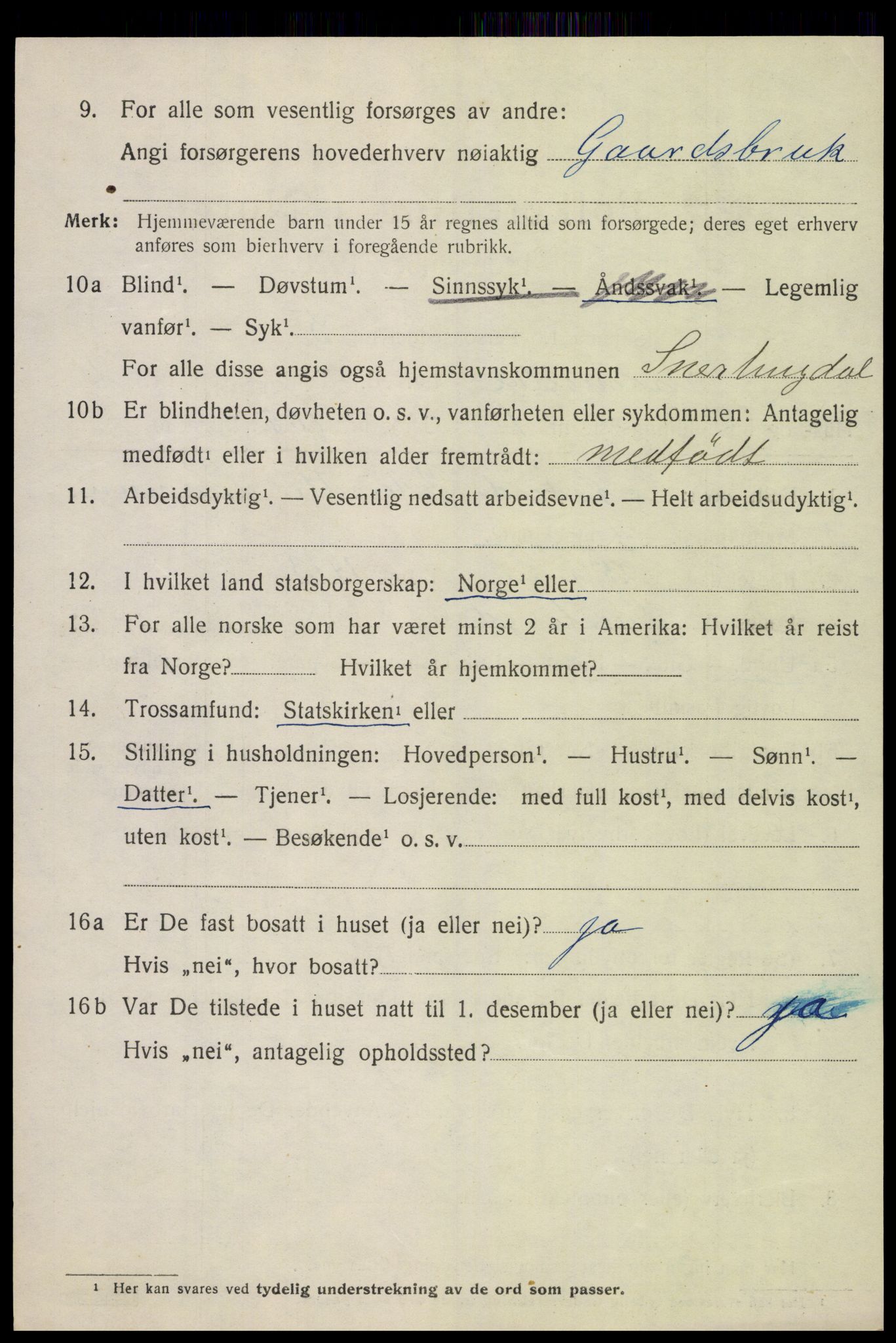 SAH, 1920 census for Snertingdal, 1920, p. 1368