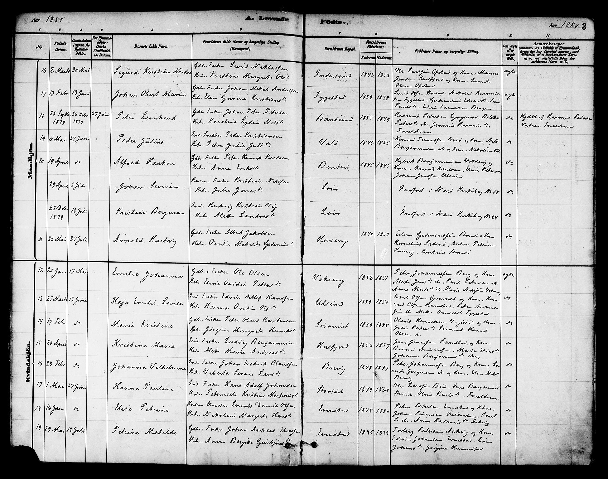 Ministerialprotokoller, klokkerbøker og fødselsregistre - Nord-Trøndelag, AV/SAT-A-1458/786/L0686: Parish register (official) no. 786A02, 1880-1887, p. 3