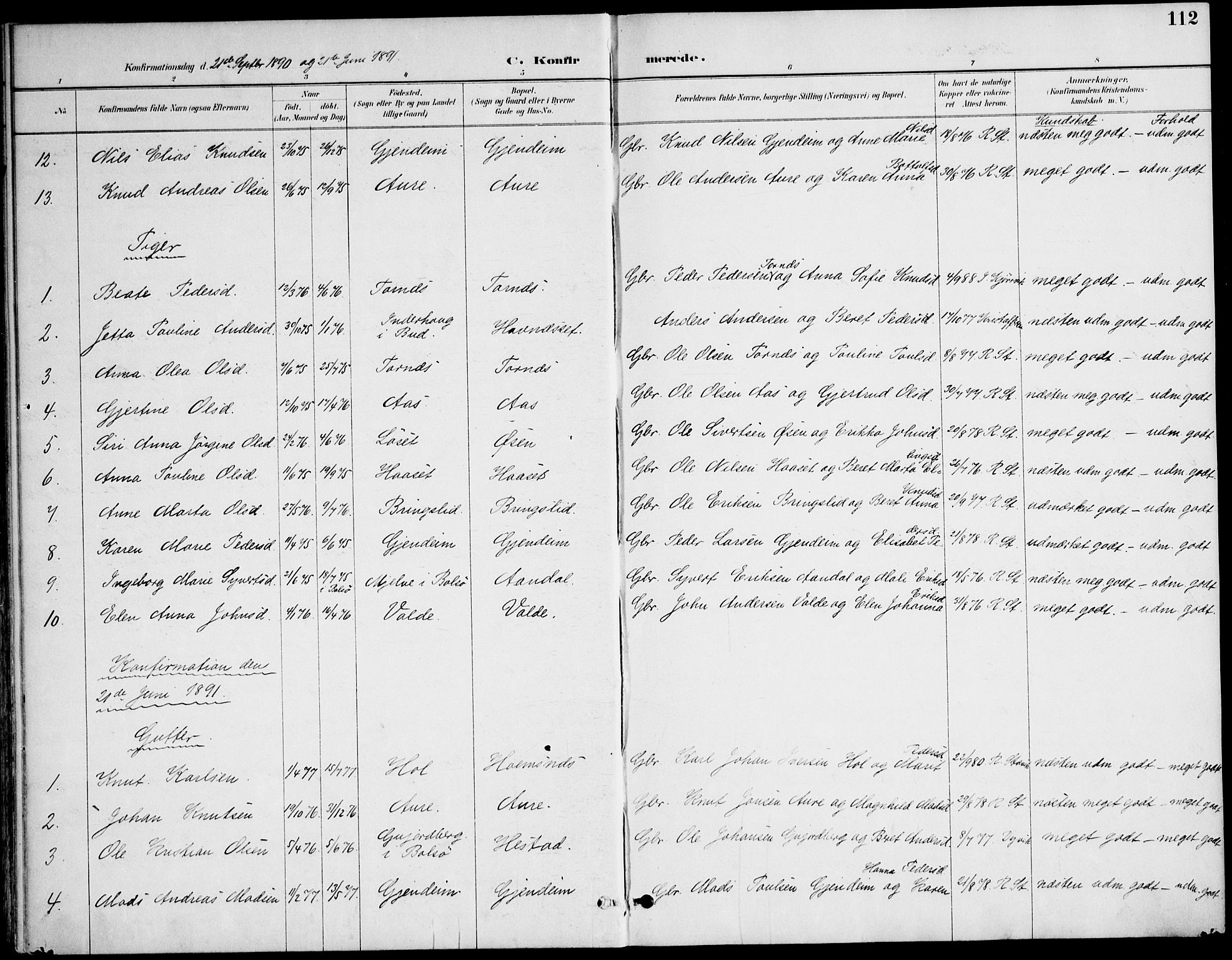 Ministerialprotokoller, klokkerbøker og fødselsregistre - Møre og Romsdal, AV/SAT-A-1454/565/L0750: Parish register (official) no. 565A04, 1887-1905, p. 112