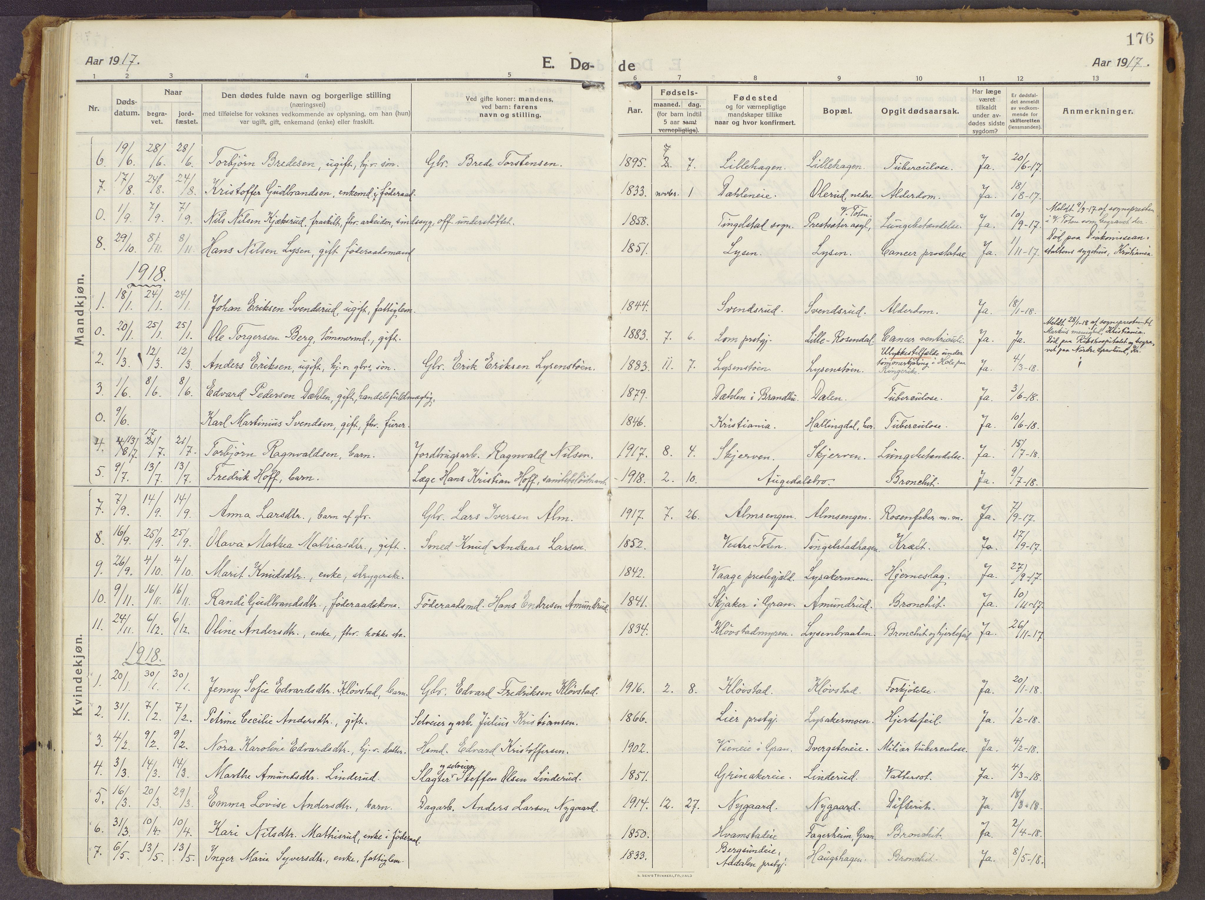 Brandbu prestekontor, AV/SAH-PREST-114/H/Ha/Haa/L0003: Parish register (official) no. 3, 1914-1928, p. 176