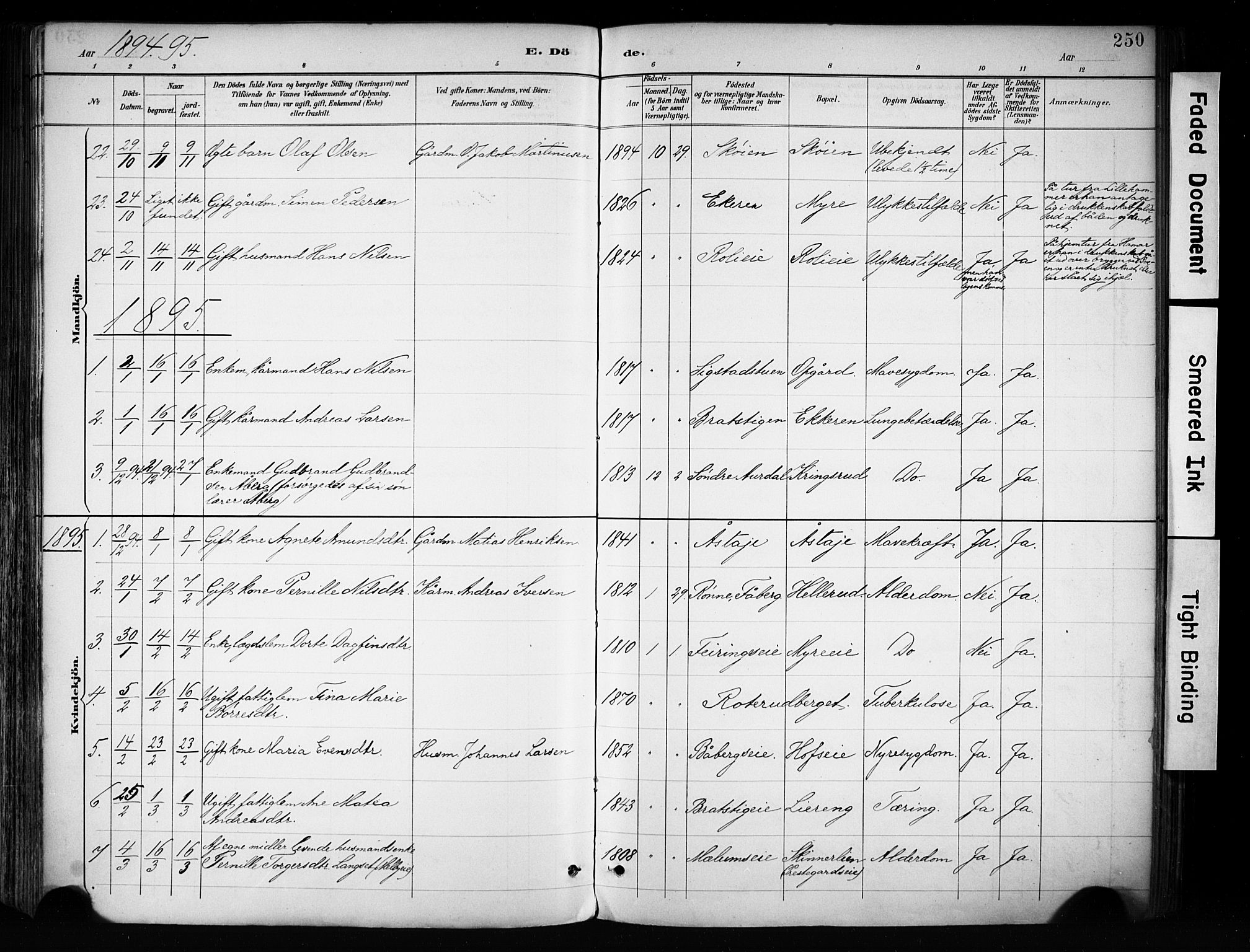Biri prestekontor, SAH/PREST-096/H/Ha/Haa/L0009: Parish register (official) no. 9, 1887-1900, p. 250