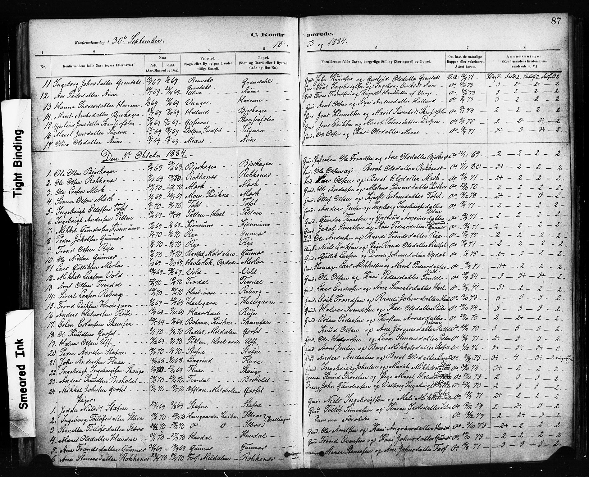 Ministerialprotokoller, klokkerbøker og fødselsregistre - Sør-Trøndelag, SAT/A-1456/674/L0871: Parish register (official) no. 674A03, 1880-1896, p. 87