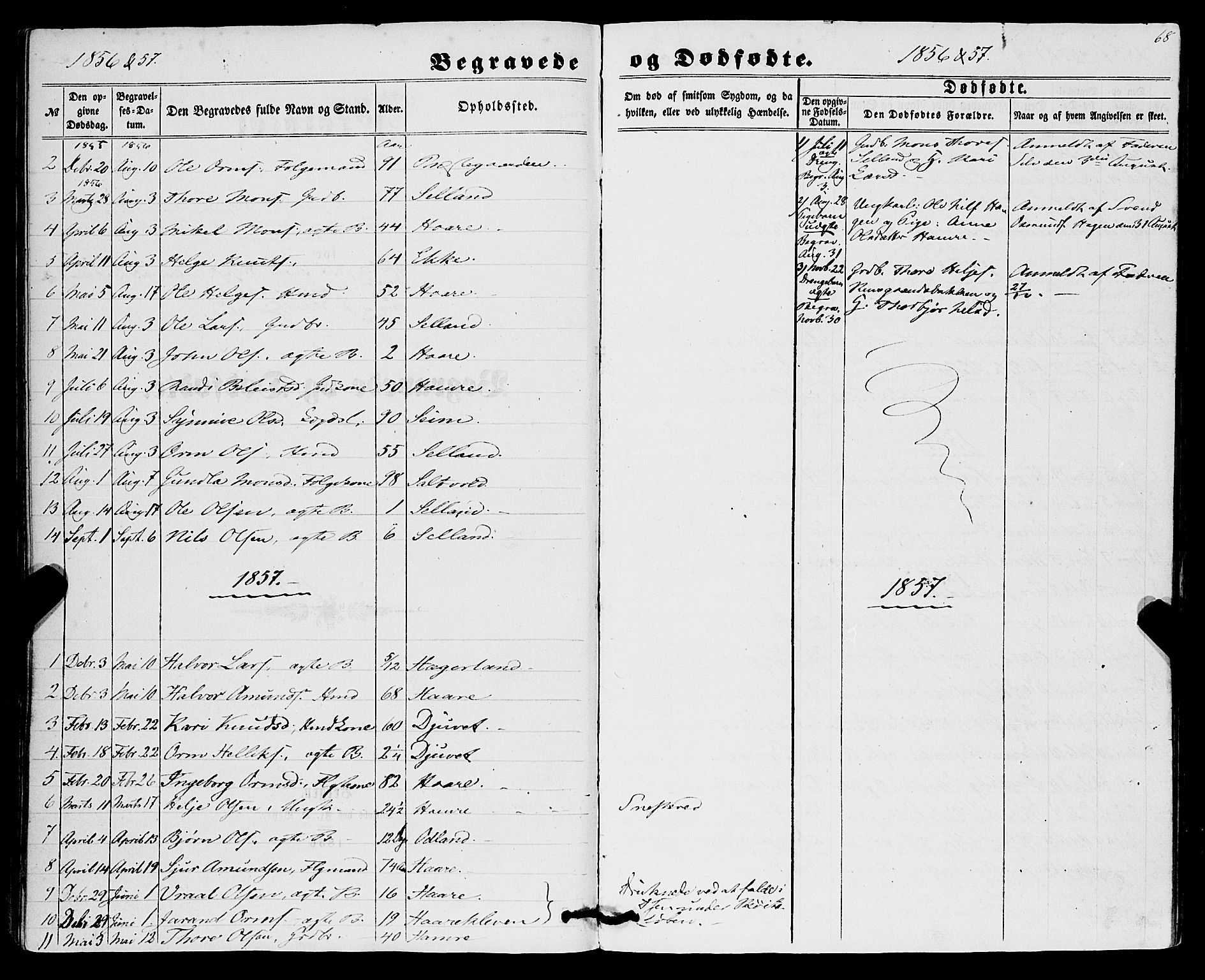 Røldal sokneprestembete, SAB/A-100247: Parish register (official) no. A 3, 1856-1870, p. 68