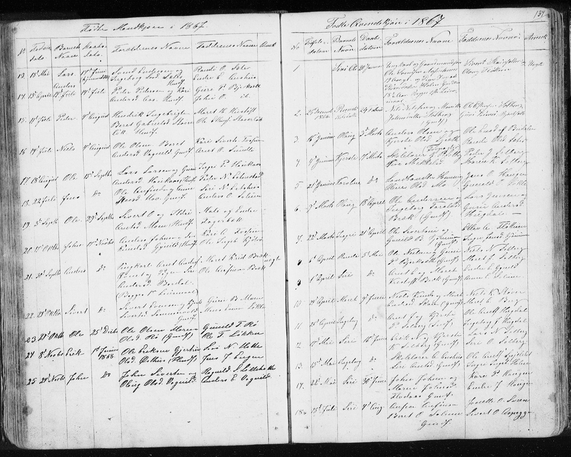 Ministerialprotokoller, klokkerbøker og fødselsregistre - Sør-Trøndelag, SAT/A-1456/689/L1043: Parish register (copy) no. 689C02, 1816-1892, p. 134
