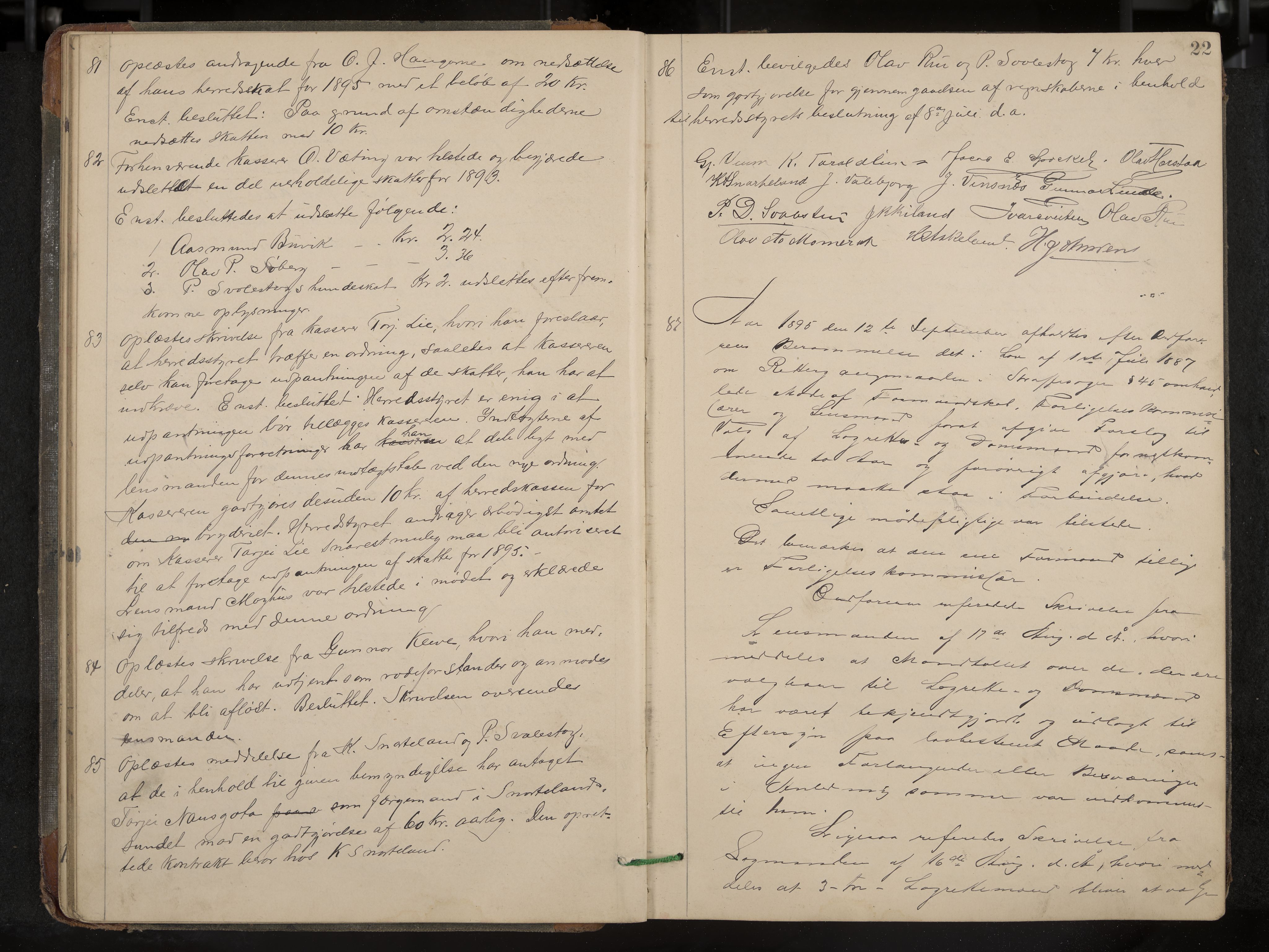 Fyresdal formannskap og sentraladministrasjon, IKAK/0831021-1/Aa/L0003: Møtebok, 1894-1903, p. 22