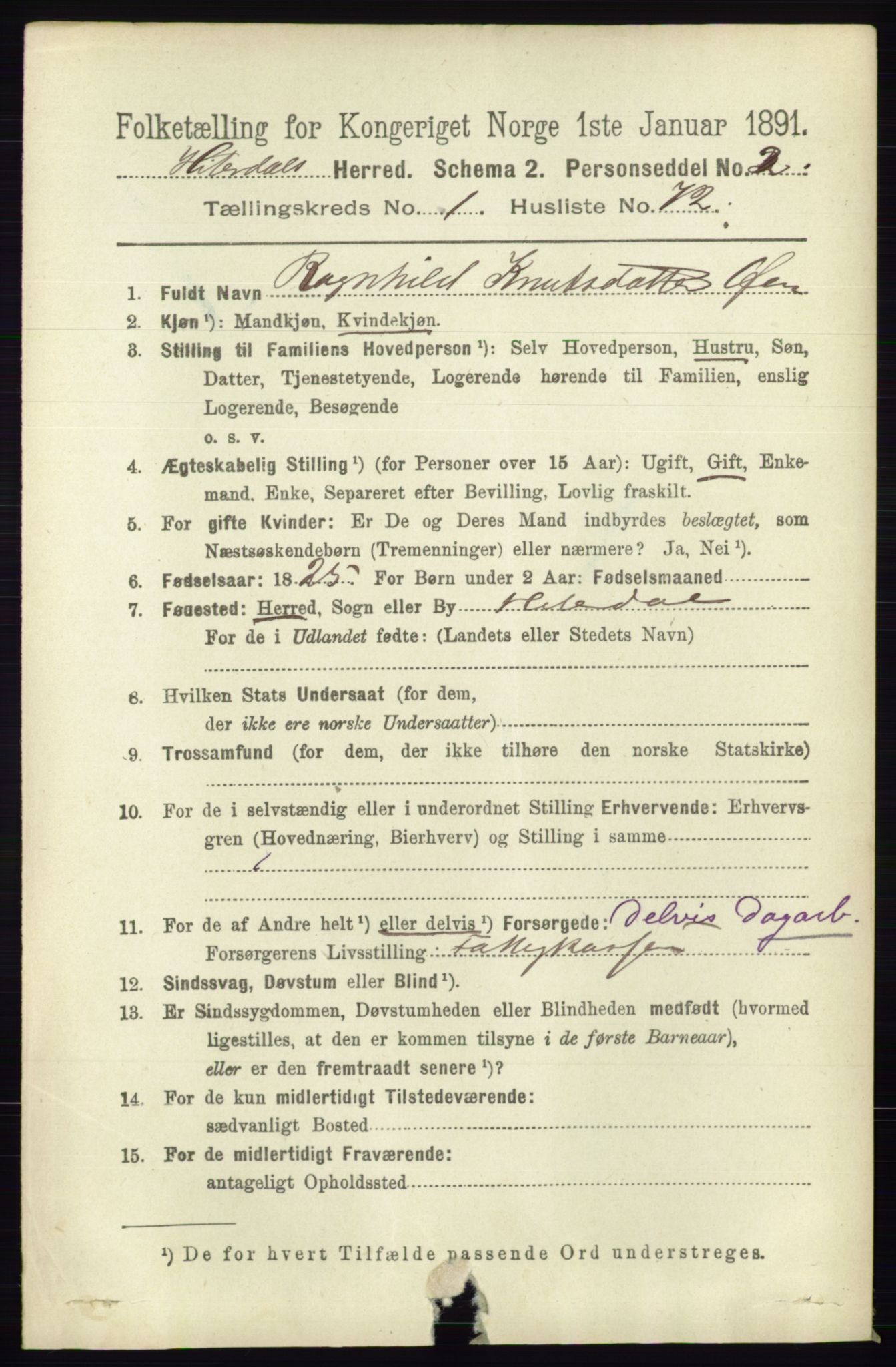 RA, 1891 census for 0823 Heddal, 1891, p. 504