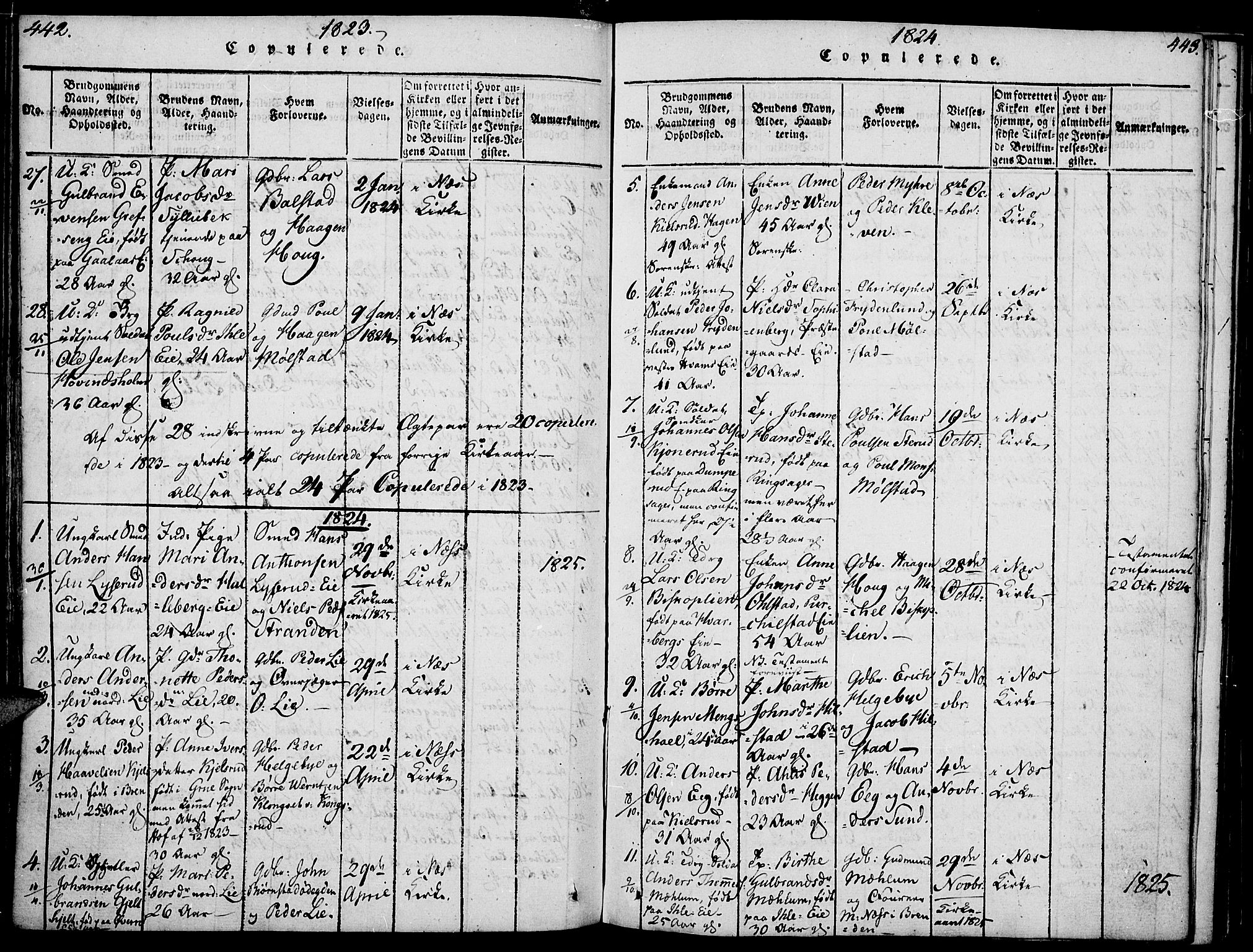 Nes prestekontor, Hedmark, SAH/PREST-020/K/Ka/L0002: Parish register (official) no. 2, 1813-1827, p. 442-443