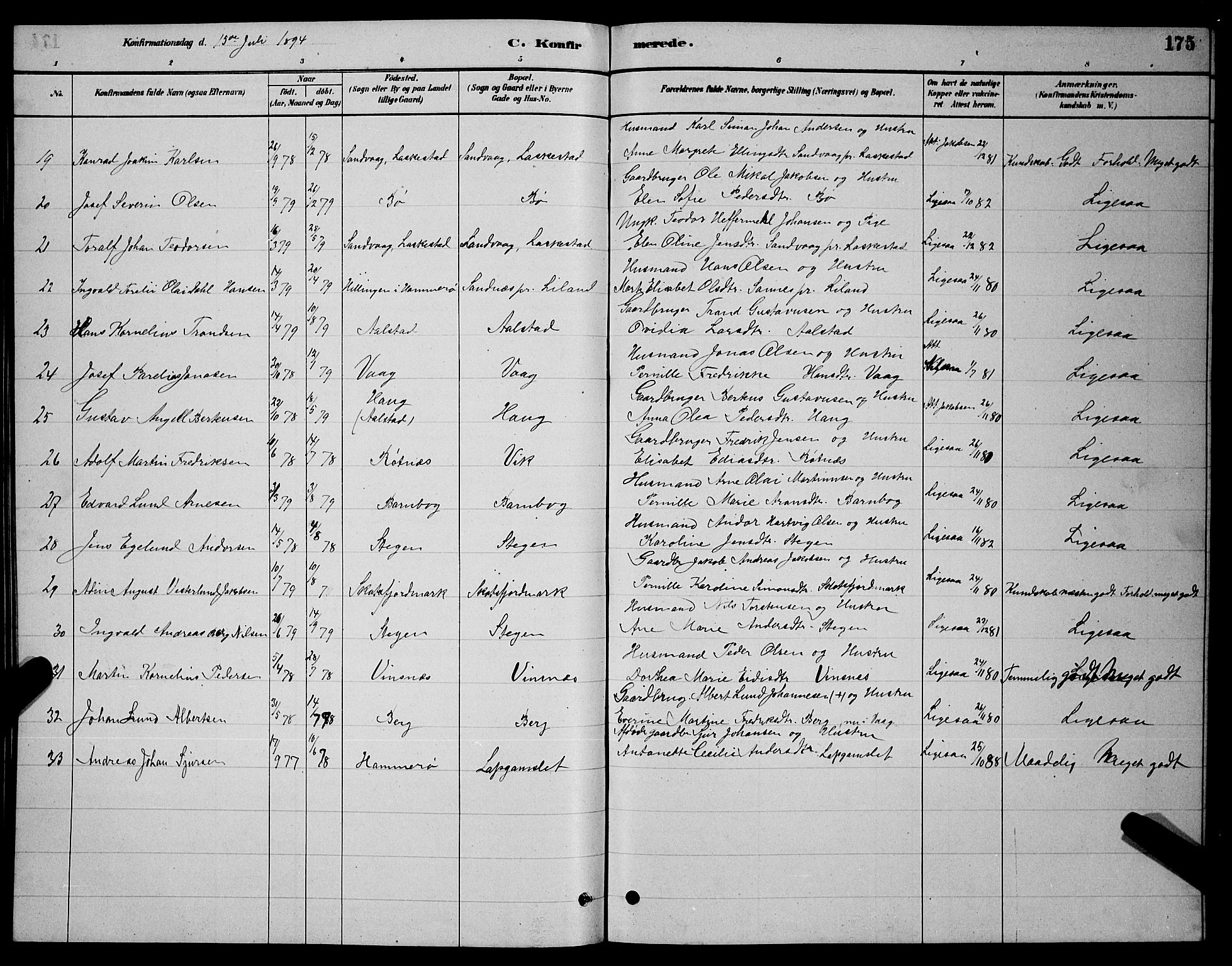 Ministerialprotokoller, klokkerbøker og fødselsregistre - Nordland, AV/SAT-A-1459/855/L0816: Parish register (copy) no. 855C05, 1879-1894, p. 175