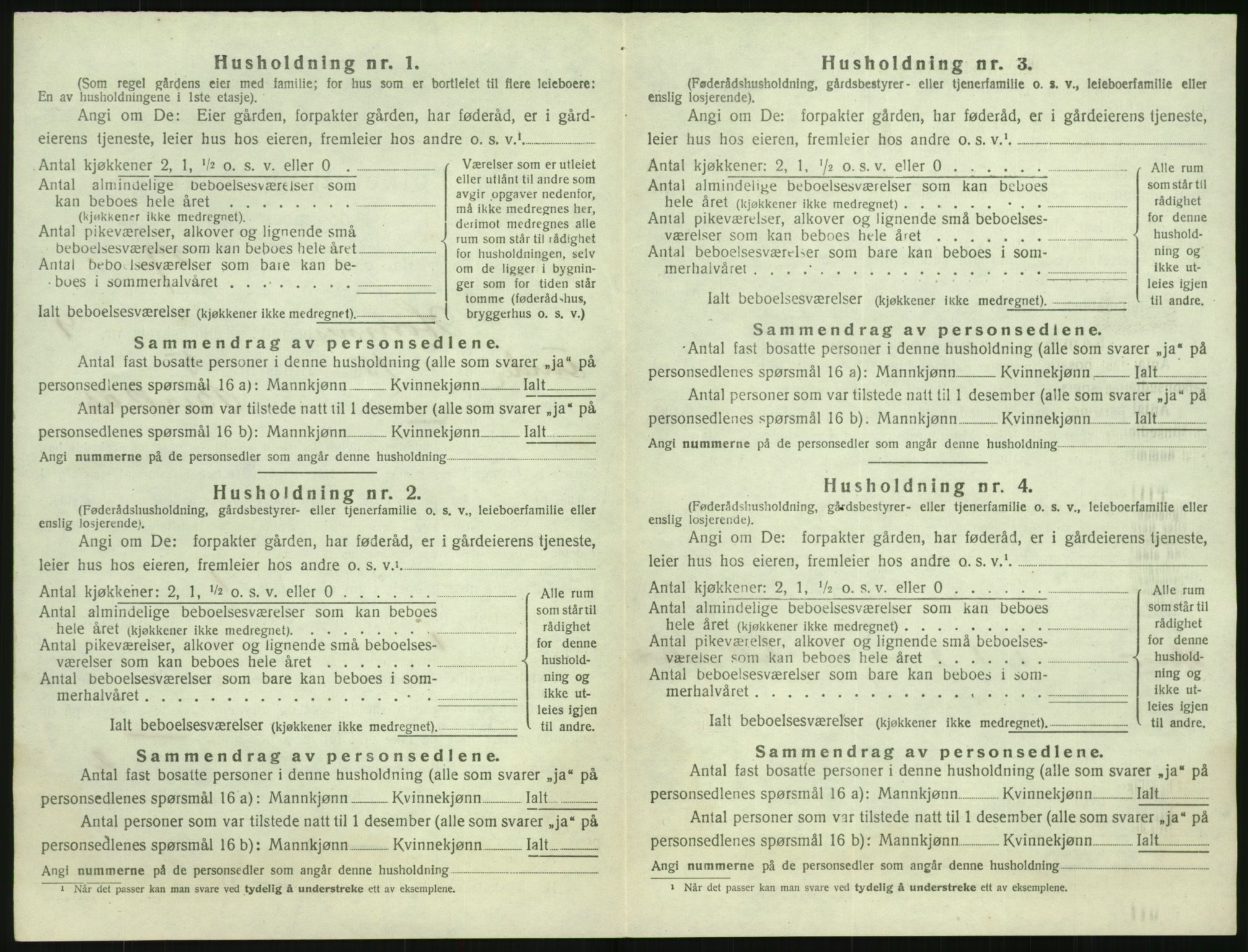 SAK, 1920 census for Hornnes, 1920, p. 404