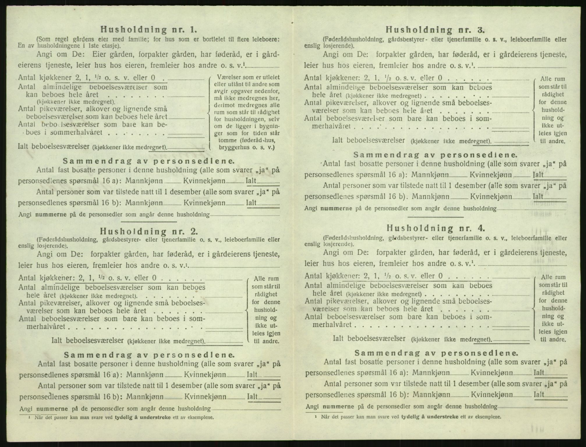 SAK, 1920 census for Hornnes, 1920, p. 404