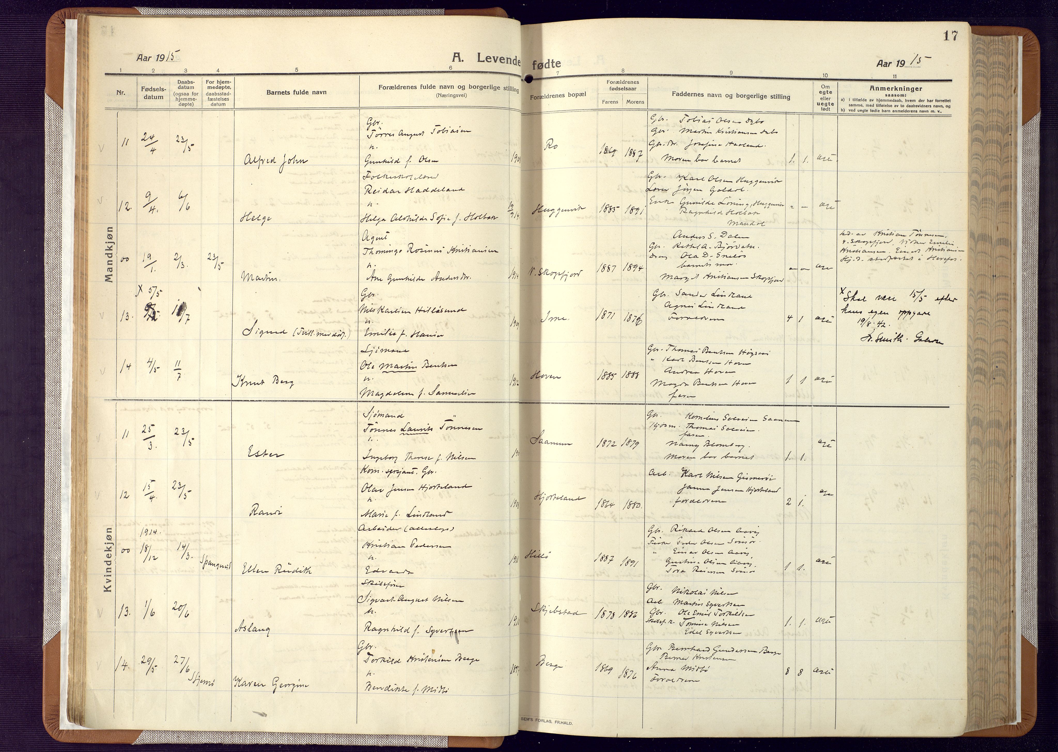 Mandal sokneprestkontor, AV/SAK-1111-0030/F/Fa/Faa/L0022: Parish register (official) no. A 22, 1913-1925, p. 17