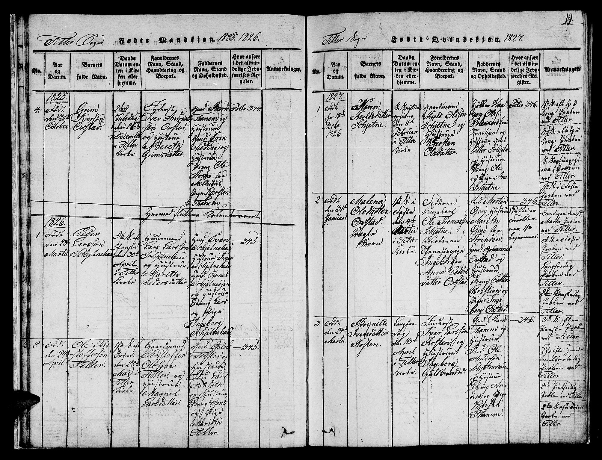 Ministerialprotokoller, klokkerbøker og fødselsregistre - Sør-Trøndelag, SAT/A-1456/621/L0458: Parish register (copy) no. 621C01, 1816-1865, p. 19