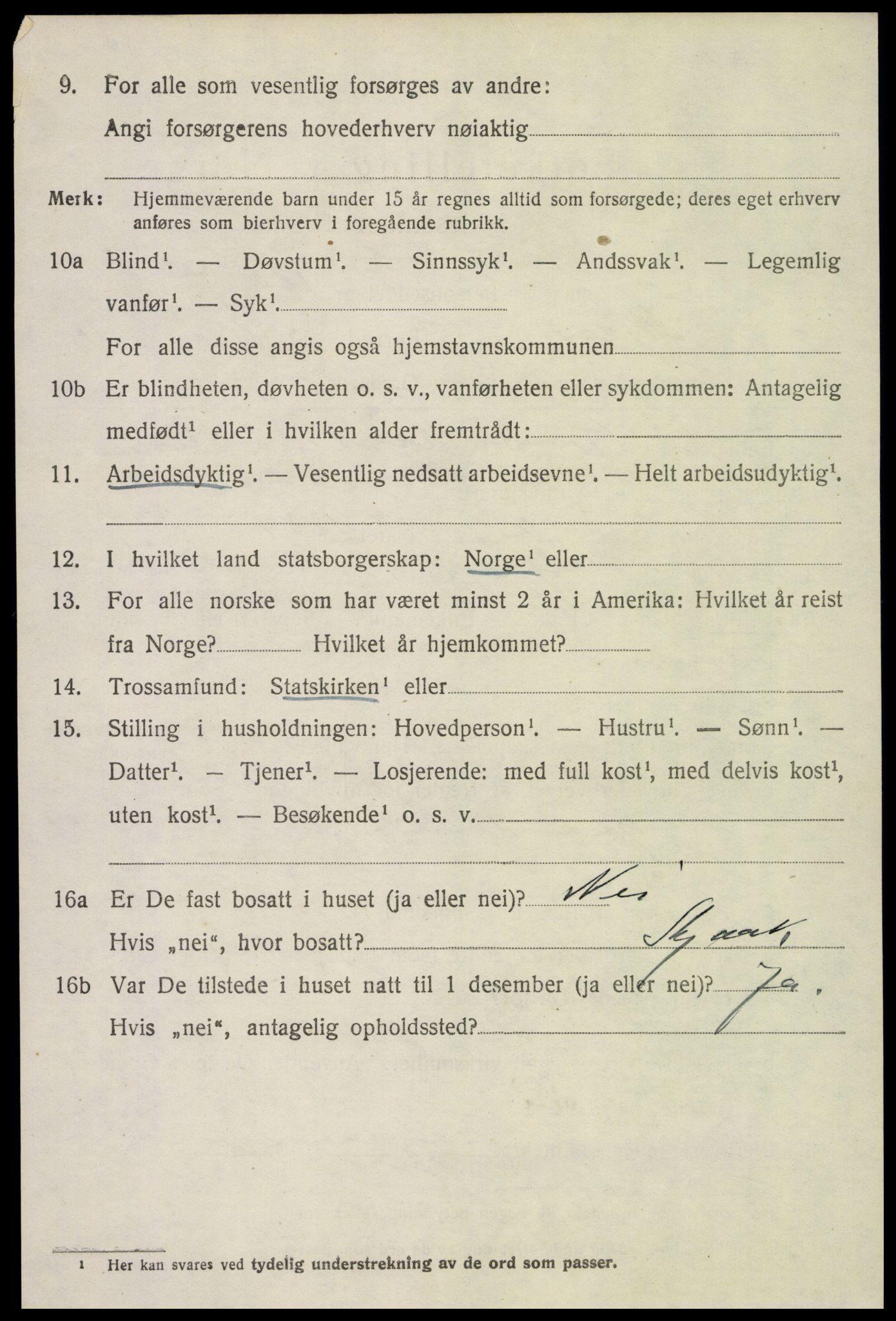 SAH, 1920 census for Skjåk, 1920, p. 5173