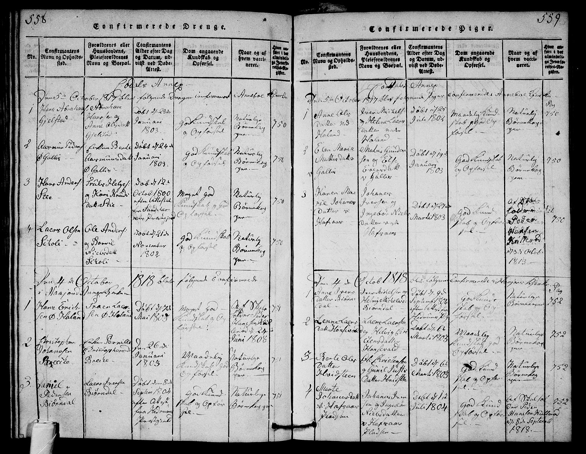 Andebu kirkebøker, SAKO/A-336/G/Ga/L0001: Parish register (copy) no. I 1 /3, 1815-1823, p. 558-559