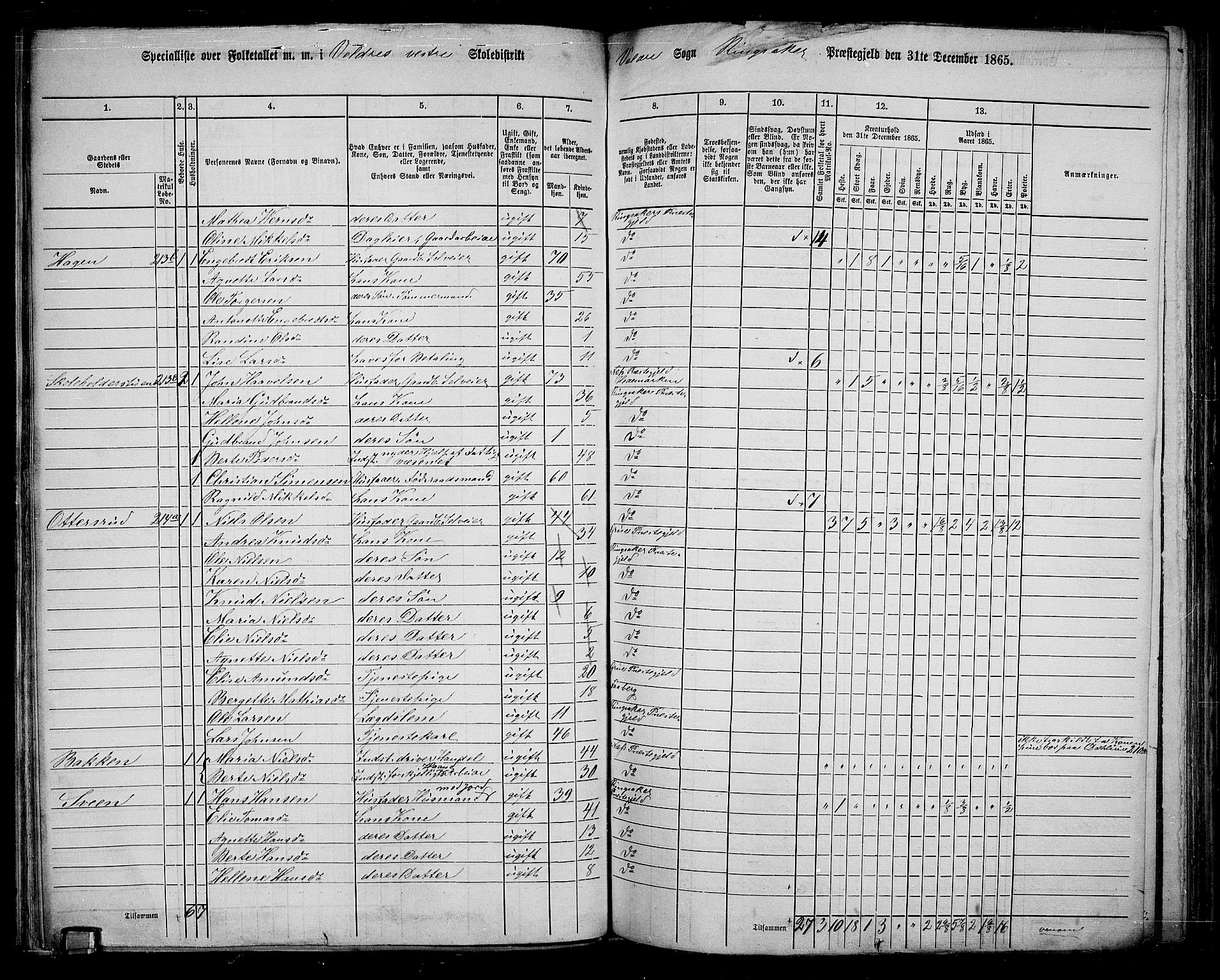 RA, 1865 census for Ringsaker, 1865, p. 162