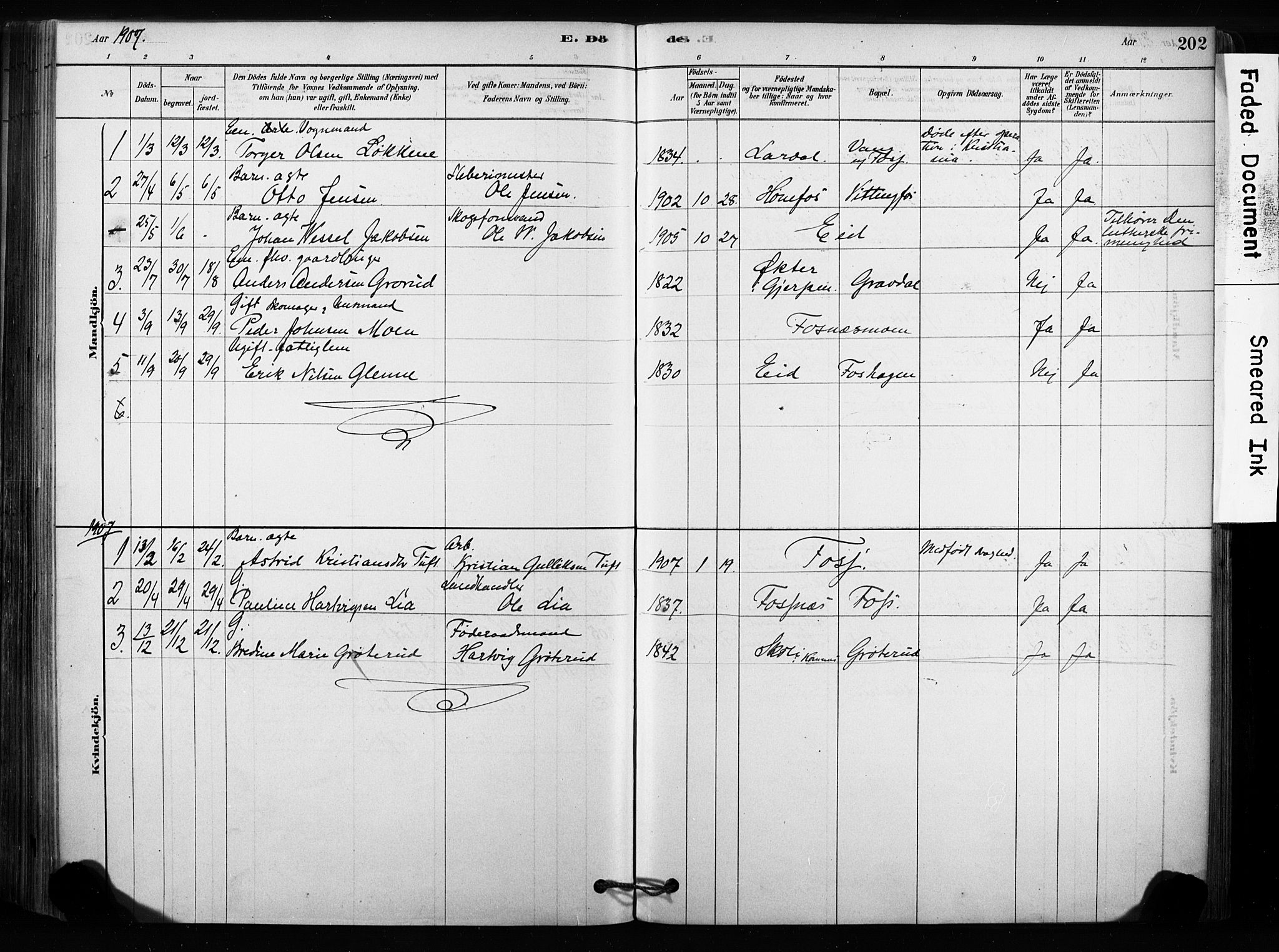 Sandsvær kirkebøker, SAKO/A-244/F/Fc/L0001: Parish register (official) no. III 1, 1878-1923, p. 202