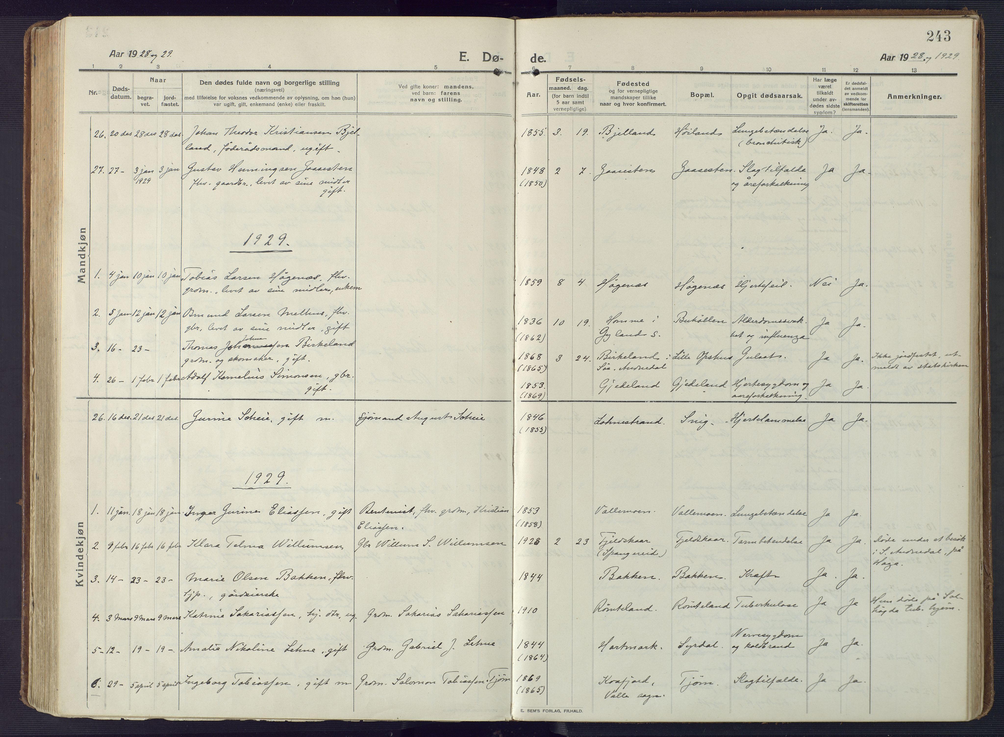 Sør-Audnedal sokneprestkontor, AV/SAK-1111-0039/F/Fa/Fab/L0011: Parish register (official) no. A 11, 1912-1938, p. 243