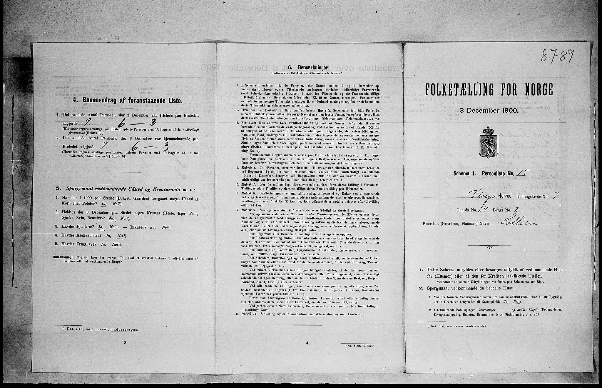 SAH, 1900 census for Vinger, 1900, p. 917