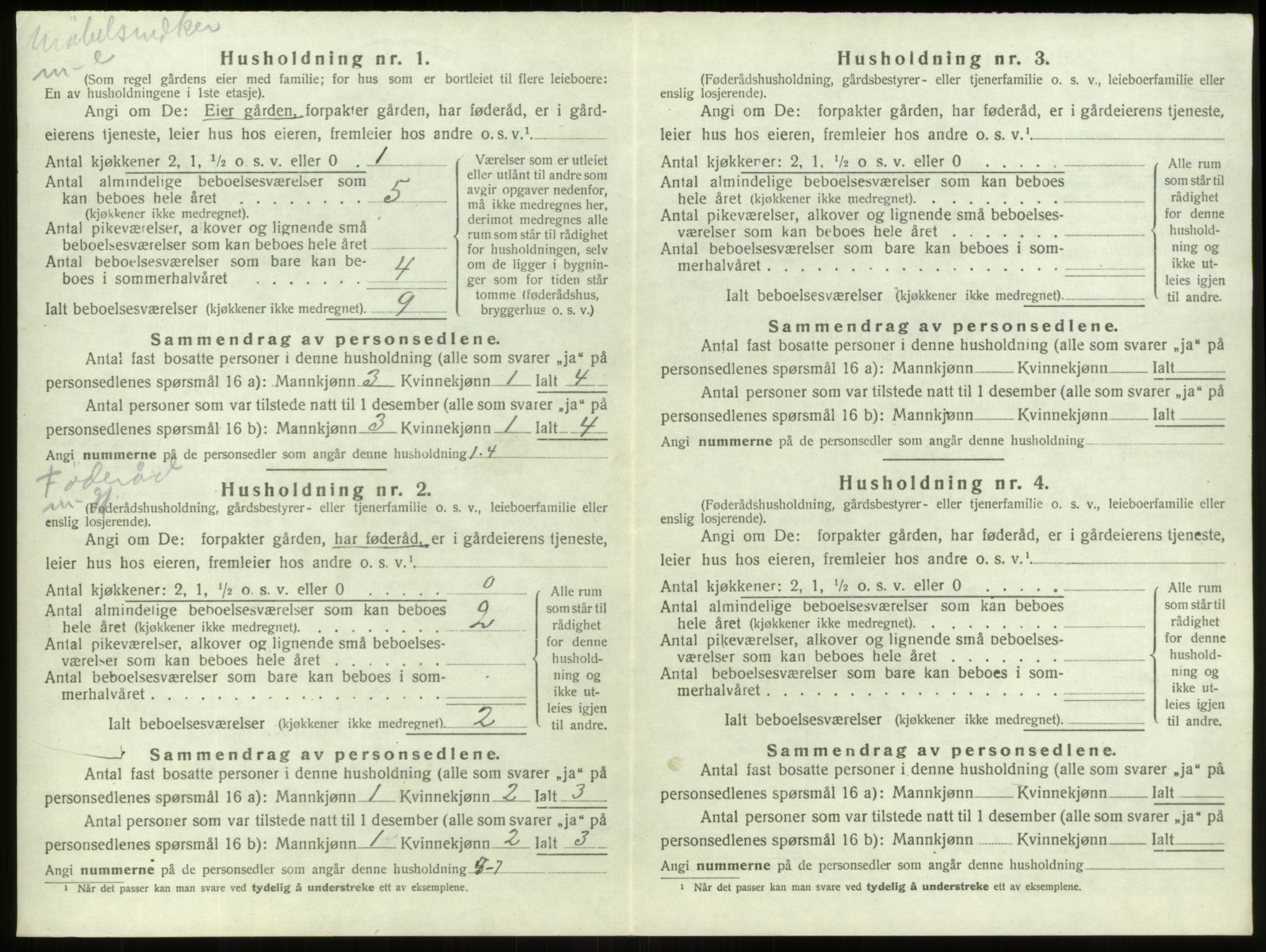 SAB, 1920 census for Stryn, 1920, p. 658