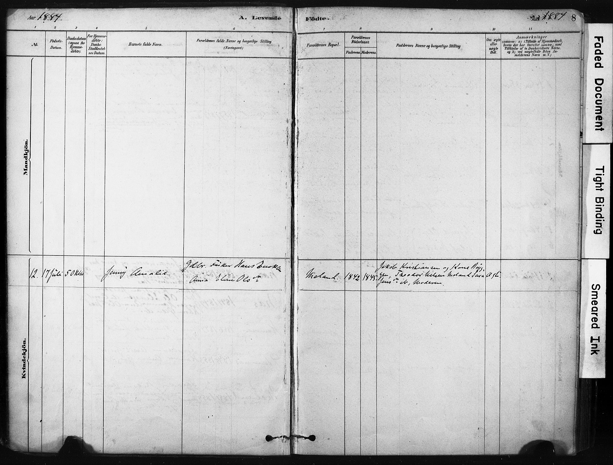 Ministerialprotokoller, klokkerbøker og fødselsregistre - Nordland, AV/SAT-A-1459/808/L0128: Parish register (official) no. 808A01, 1880-1902, p. 8