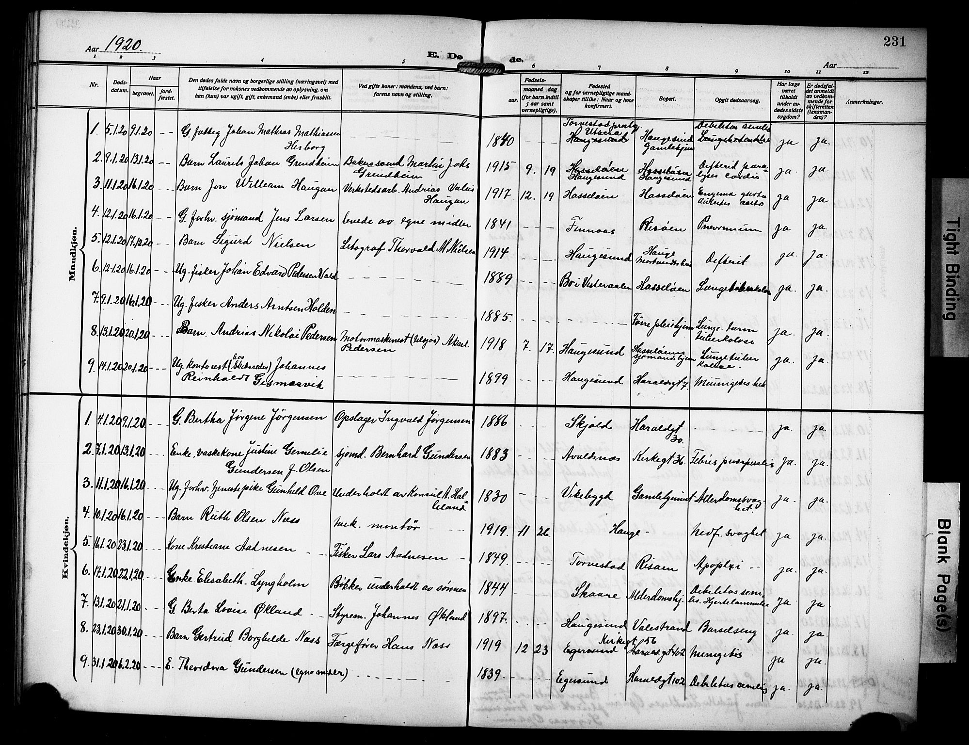Haugesund sokneprestkontor, SAST/A -101863/H/Ha/Hab/L0008: Parish register (copy) no. B 8, 1909-1921, p. 231