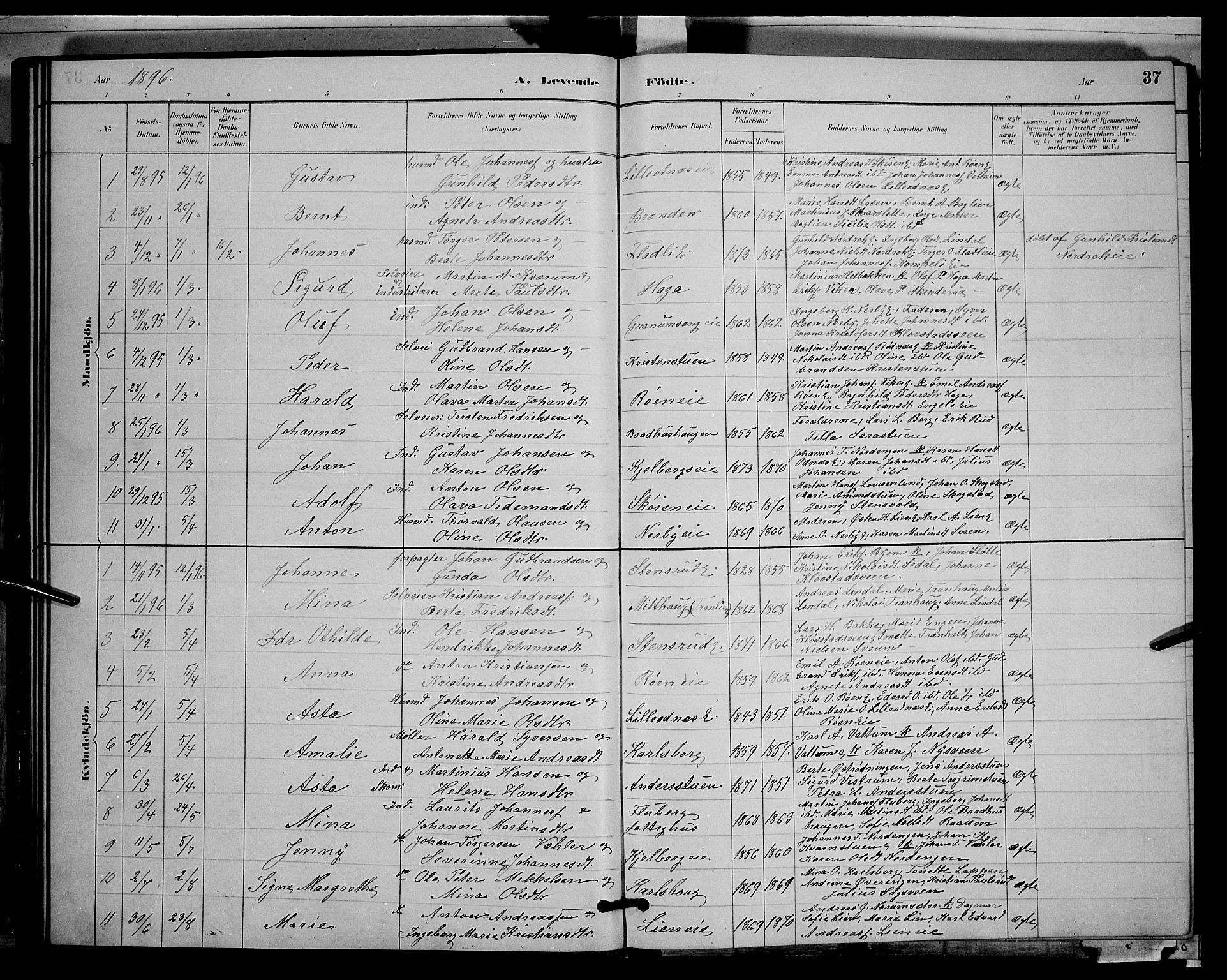 Søndre Land prestekontor, SAH/PREST-122/L/L0003: Parish register (copy) no. 3, 1884-1902, p. 37