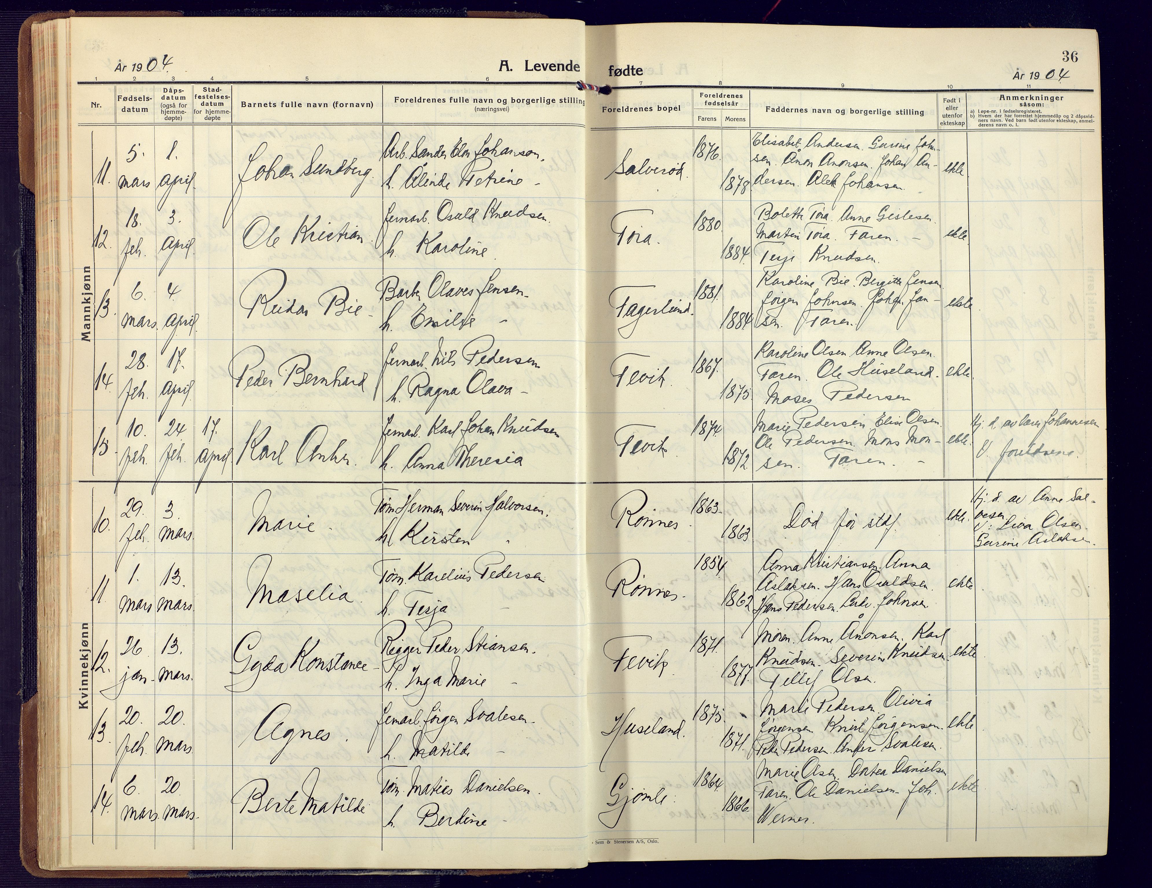 Fjære sokneprestkontor, AV/SAK-1111-0011/F/Fa/L0004: Parish register (official) no. A 4, 1902-1925, p. 36