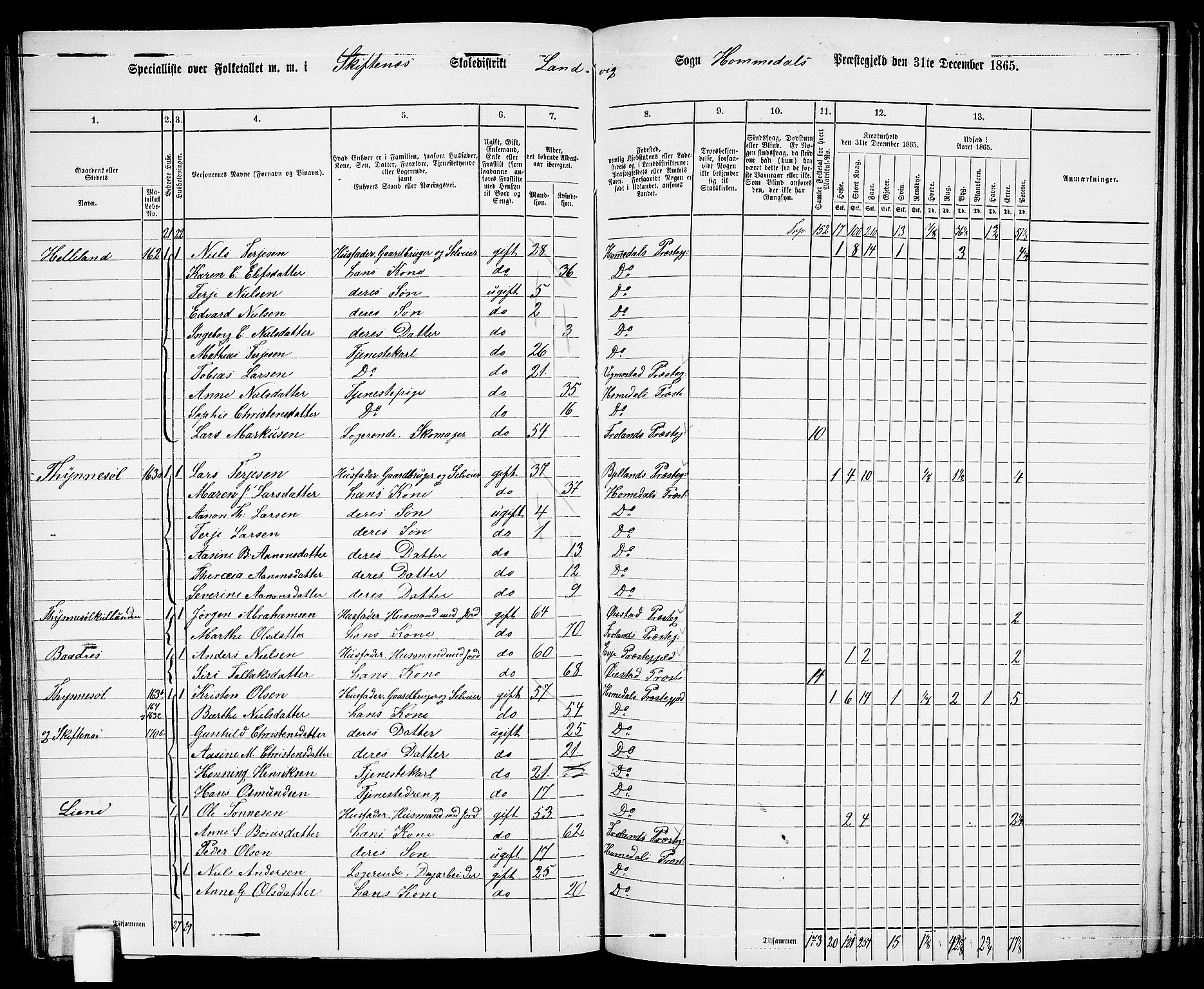 RA, 1865 census for Homedal, 1865, p. 130