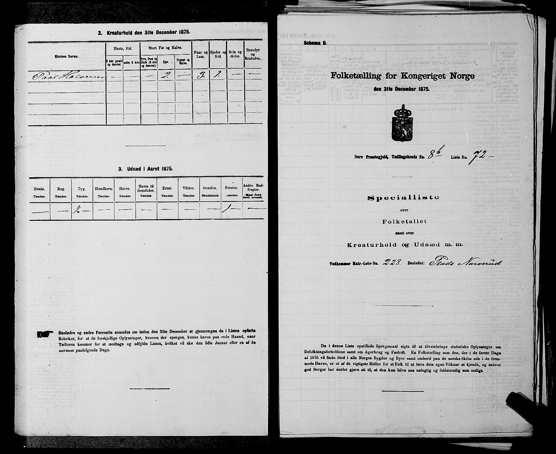 SAKO, 1875 census for 0633P Nore, 1875, p. 993