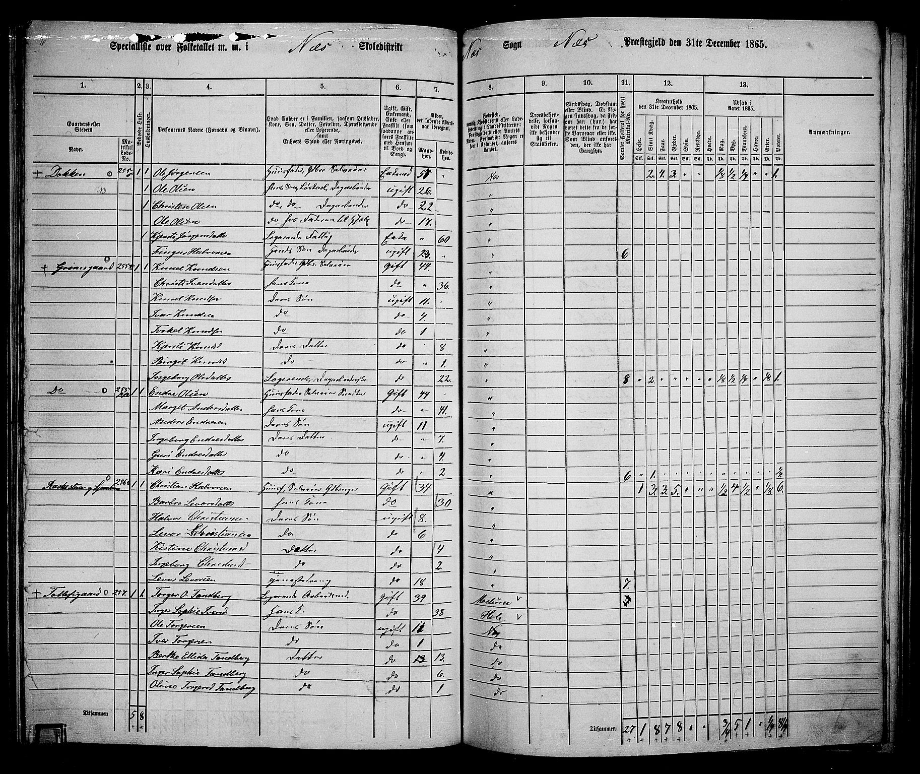 RA, 1865 census for Nes, 1865, p. 154