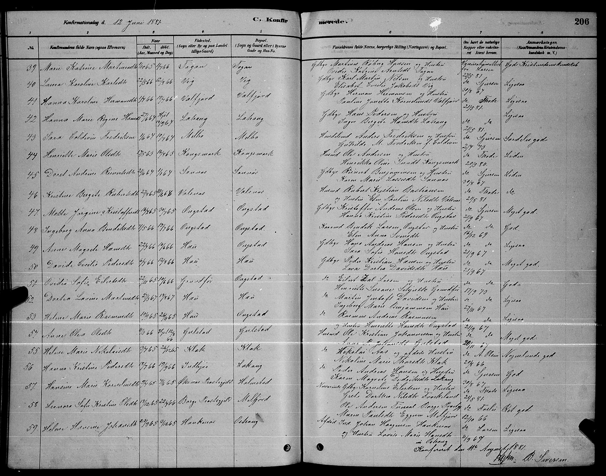 Ministerialprotokoller, klokkerbøker og fødselsregistre - Nordland, AV/SAT-A-1459/888/L1267: Parish register (copy) no. 888C05, 1878-1890, p. 206