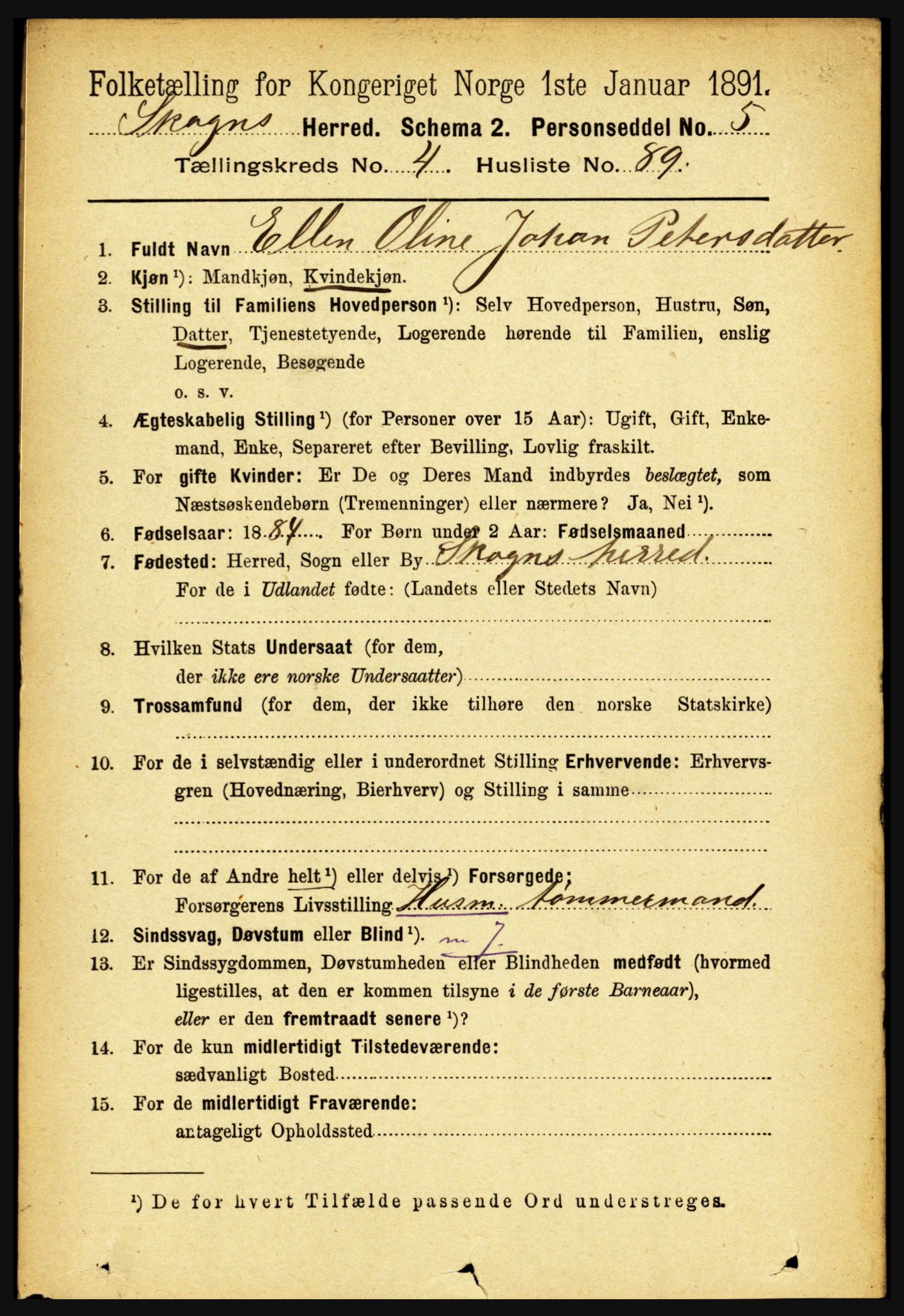 RA, 1891 census for 1719 Skogn, 1891, p. 2841