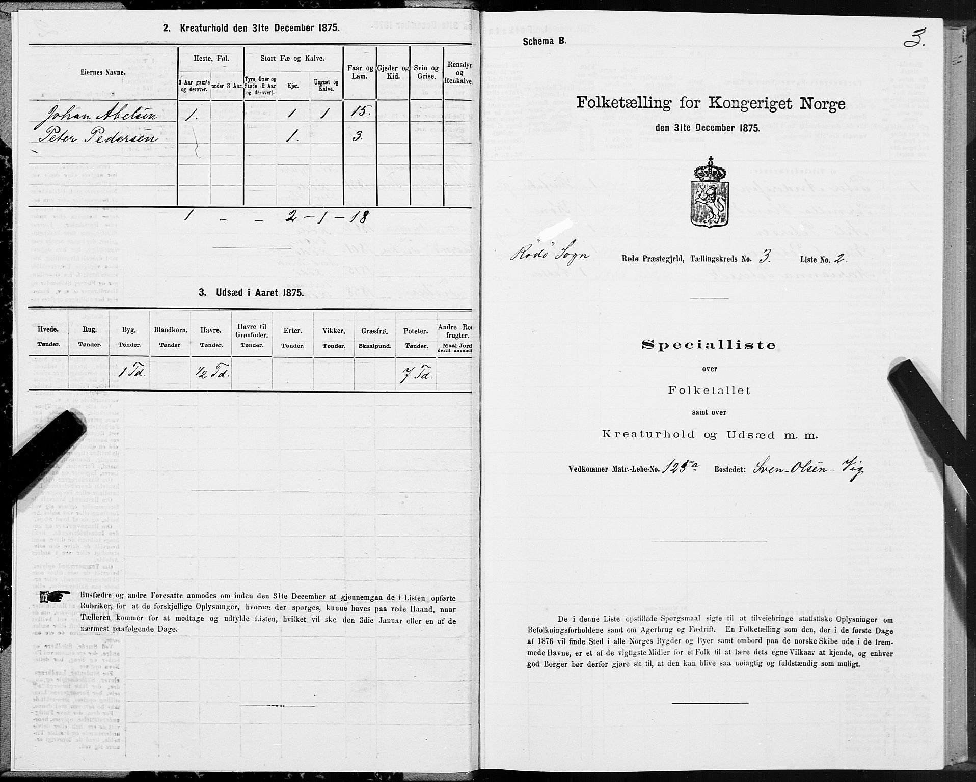 SAT, 1875 census for 1836P Rødøy, 1875, p. 2003