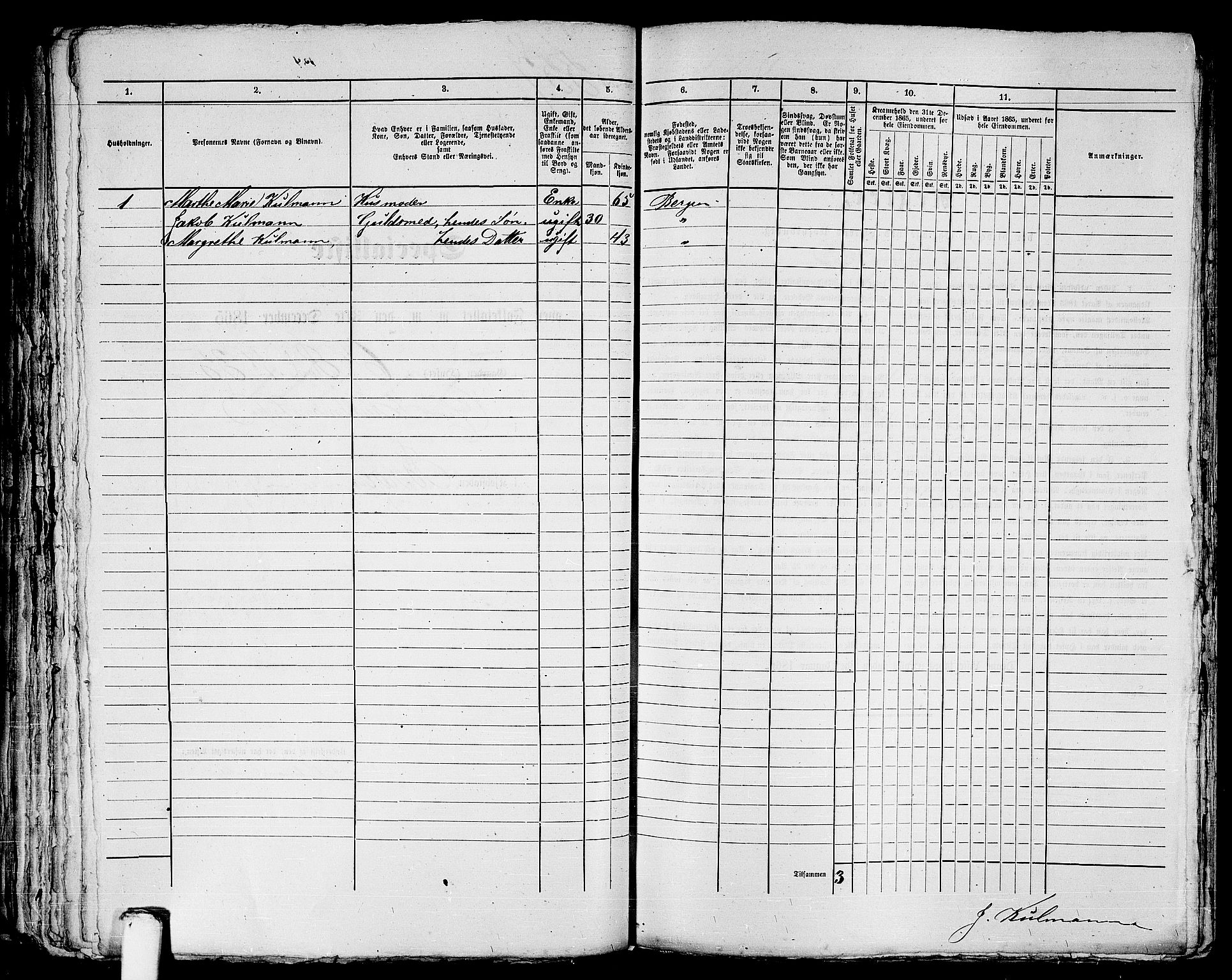 RA, 1865 census for Bergen, 1865, p. 1179