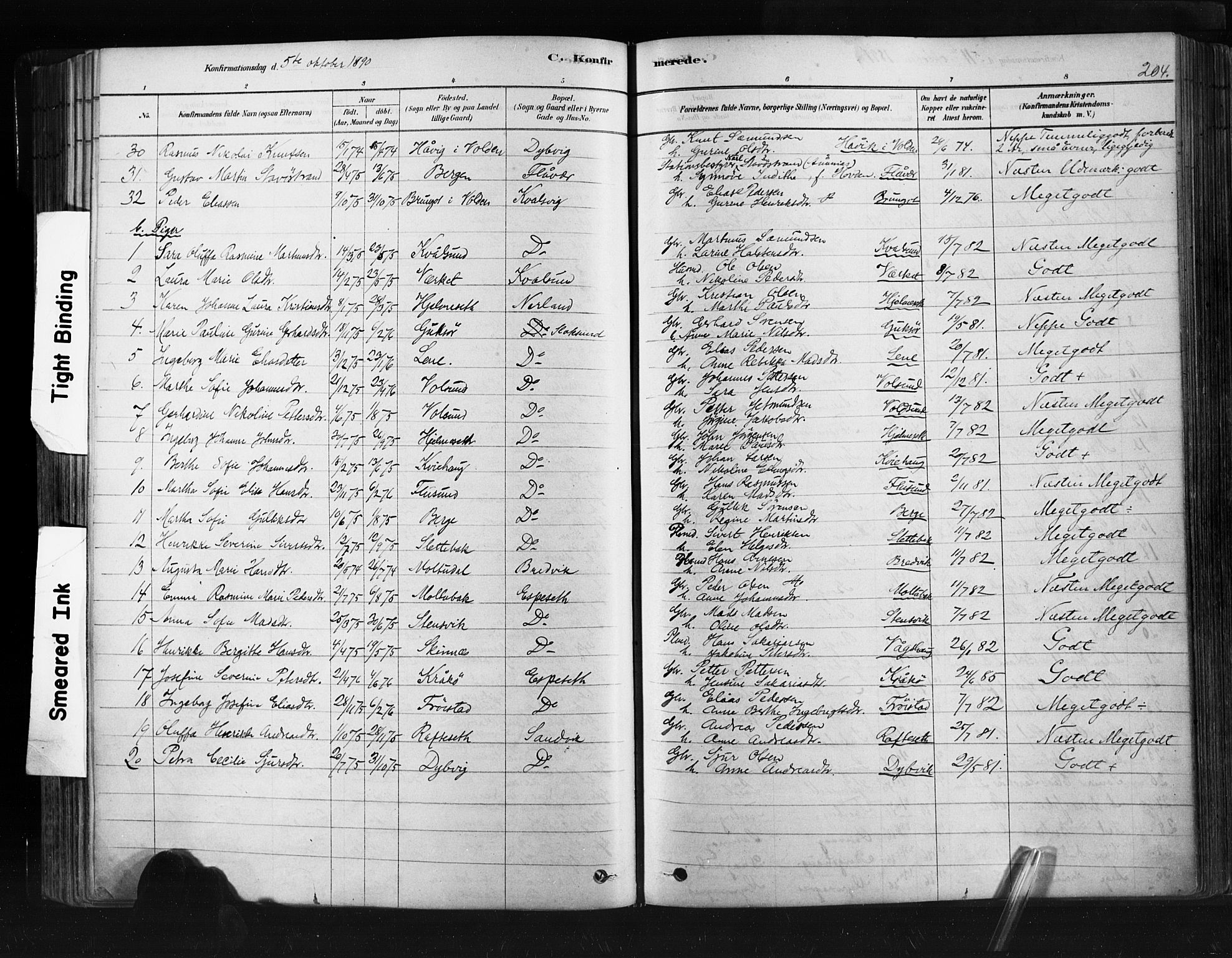 Ministerialprotokoller, klokkerbøker og fødselsregistre - Møre og Romsdal, AV/SAT-A-1454/507/L0073: Parish register (official) no. 507A08, 1878-1904, p. 204