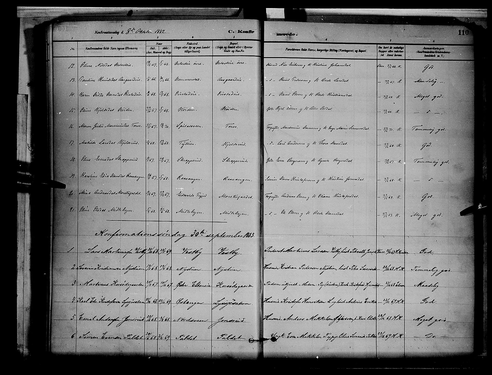 Stange prestekontor, SAH/PREST-002/L/L0008: Parish register (copy) no. 8, 1882-1895, p. 110