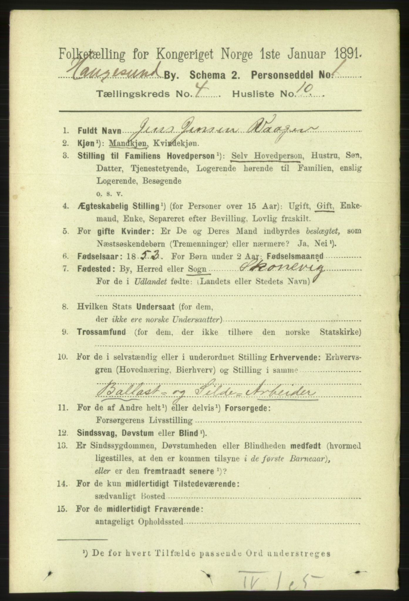 RA, 1891 census for 1106 Haugesund, 1891, p. 1256