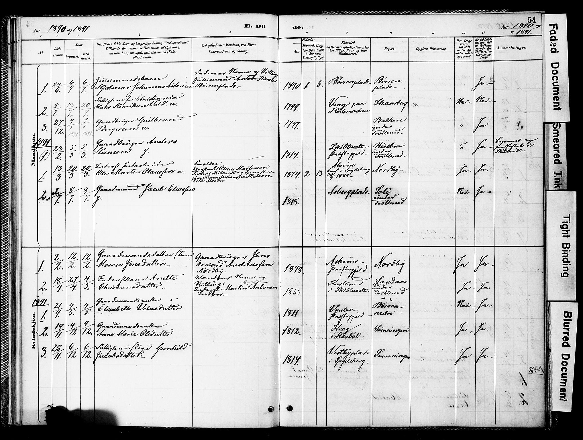 Spydeberg prestekontor Kirkebøker, AV/SAO-A-10924/F/Fc/L0001: Parish register (official) no. III 1, 1886-1907, p. 54