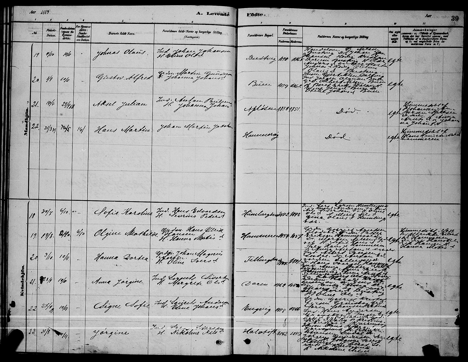 Ministerialprotokoller, klokkerbøker og fødselsregistre - Sør-Trøndelag, SAT/A-1456/641/L0597: Parish register (copy) no. 641C01, 1878-1893, p. 39